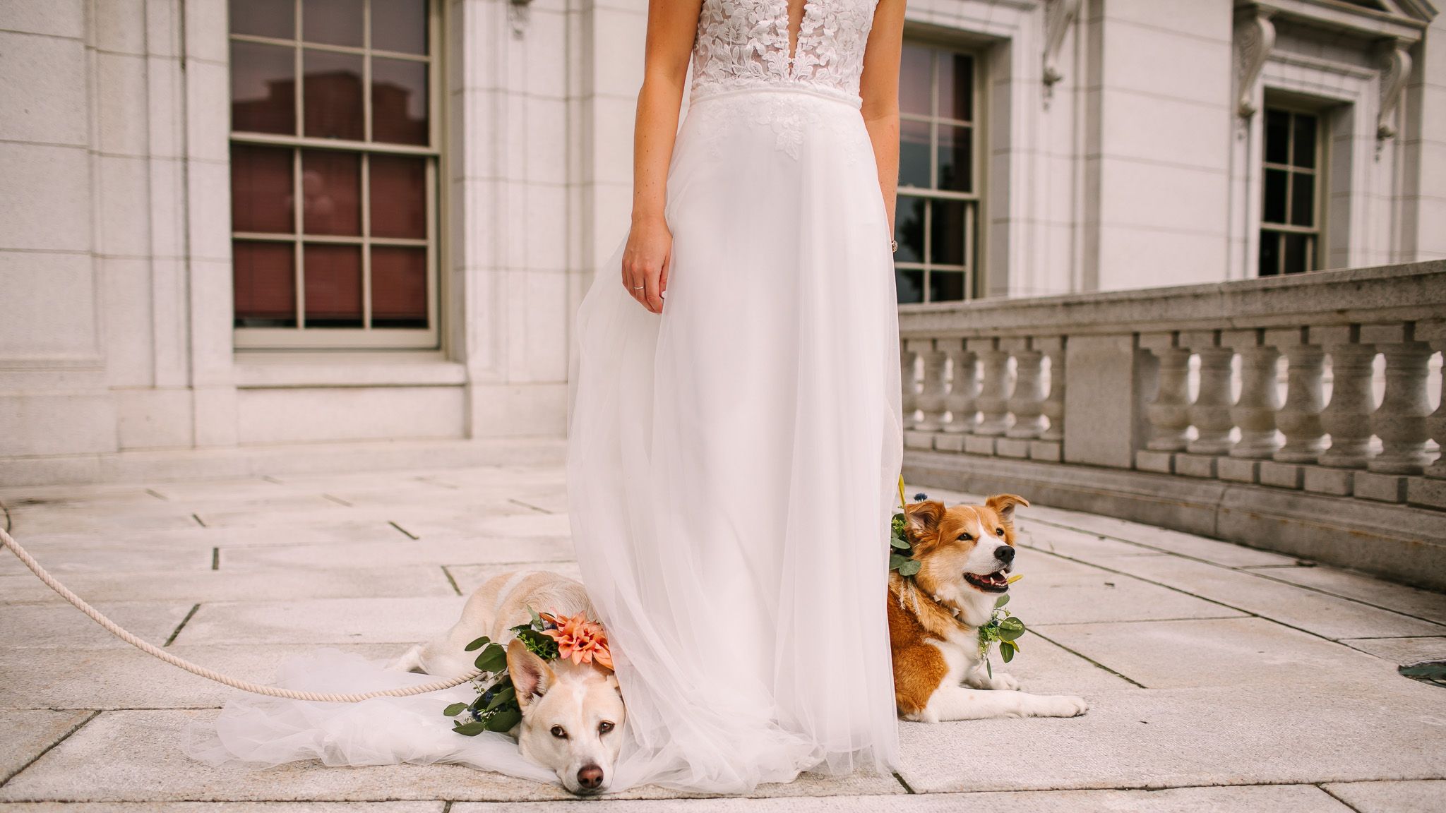 2024-07/Wedding at The Tinsmith - Emmylou & Jerrett - O & B Photo Co -222.jpg