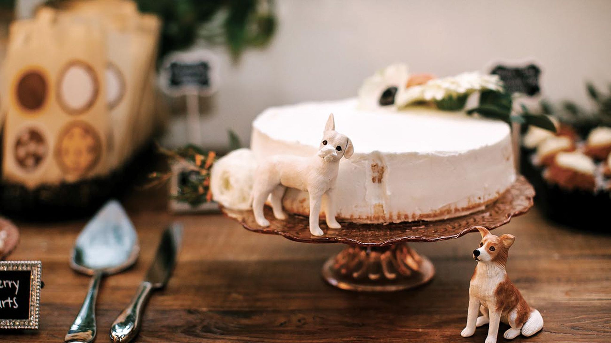 2024-07/Wedding at The Tinsmith - Emmylou & Jerrett - O & B Photo Co -735.jpg