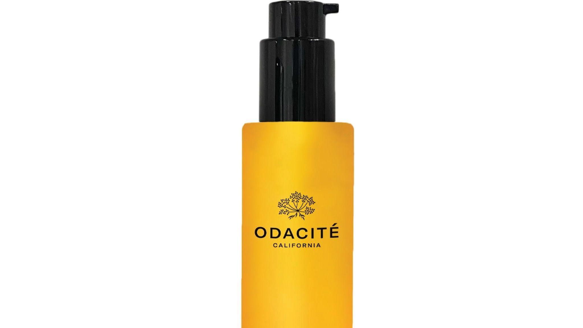 2025-06/BodyOil_0.jpg