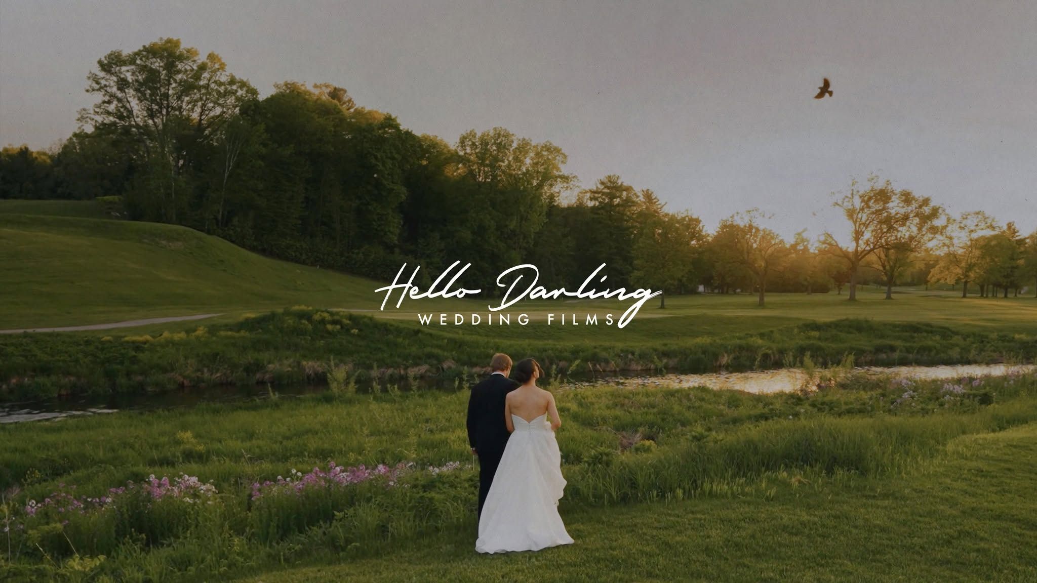 hello darling