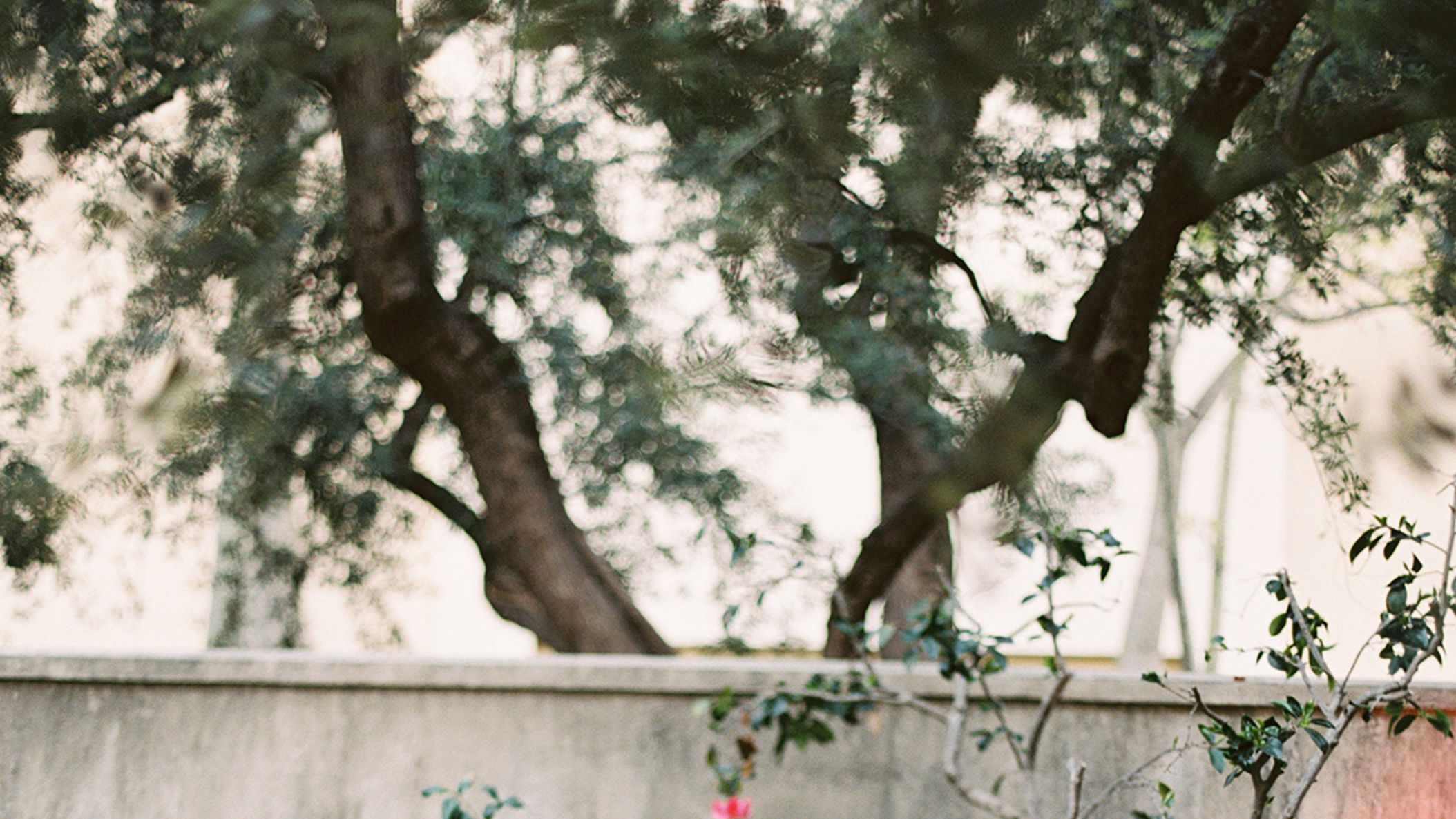 CWD/online/realweddings/megan_reed/MeganandReedFilm-96.jpg