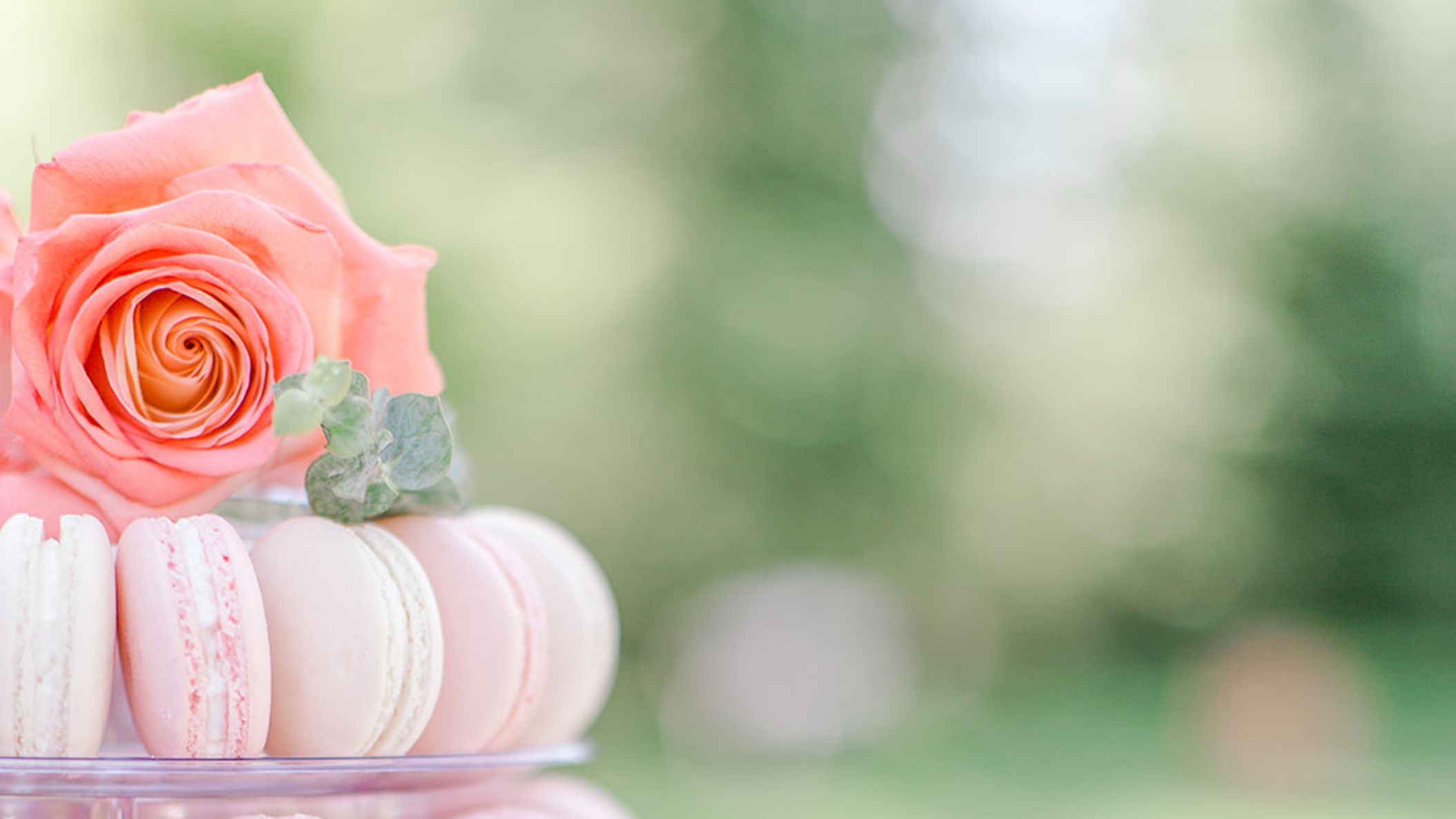 Seattle_Bride/online/styledshoots/Coral.Garden.Shoot.012.jpg