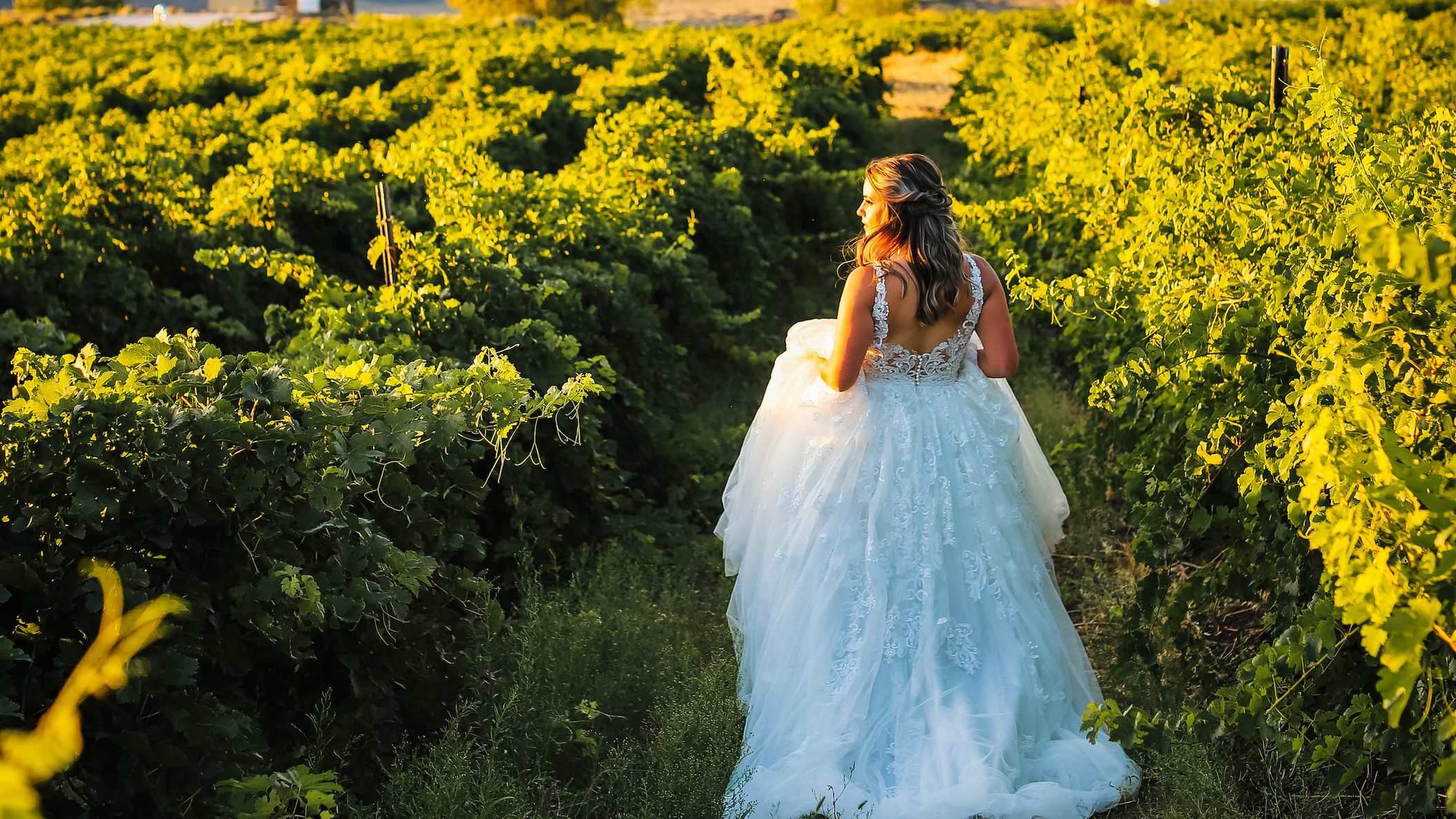 Seattle_Bride/online/styledshoots/cavebestatewinery/downsized/IMG_7123.jpg