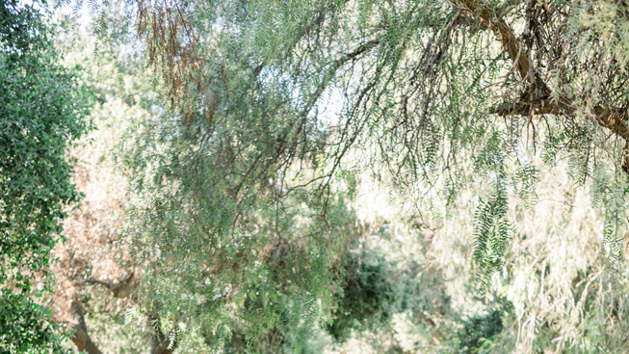 CWD/online/styledshoots/whisperingoaksxburlapandbordeaux/TMP_WhisperingOaksEditorial639.jpg