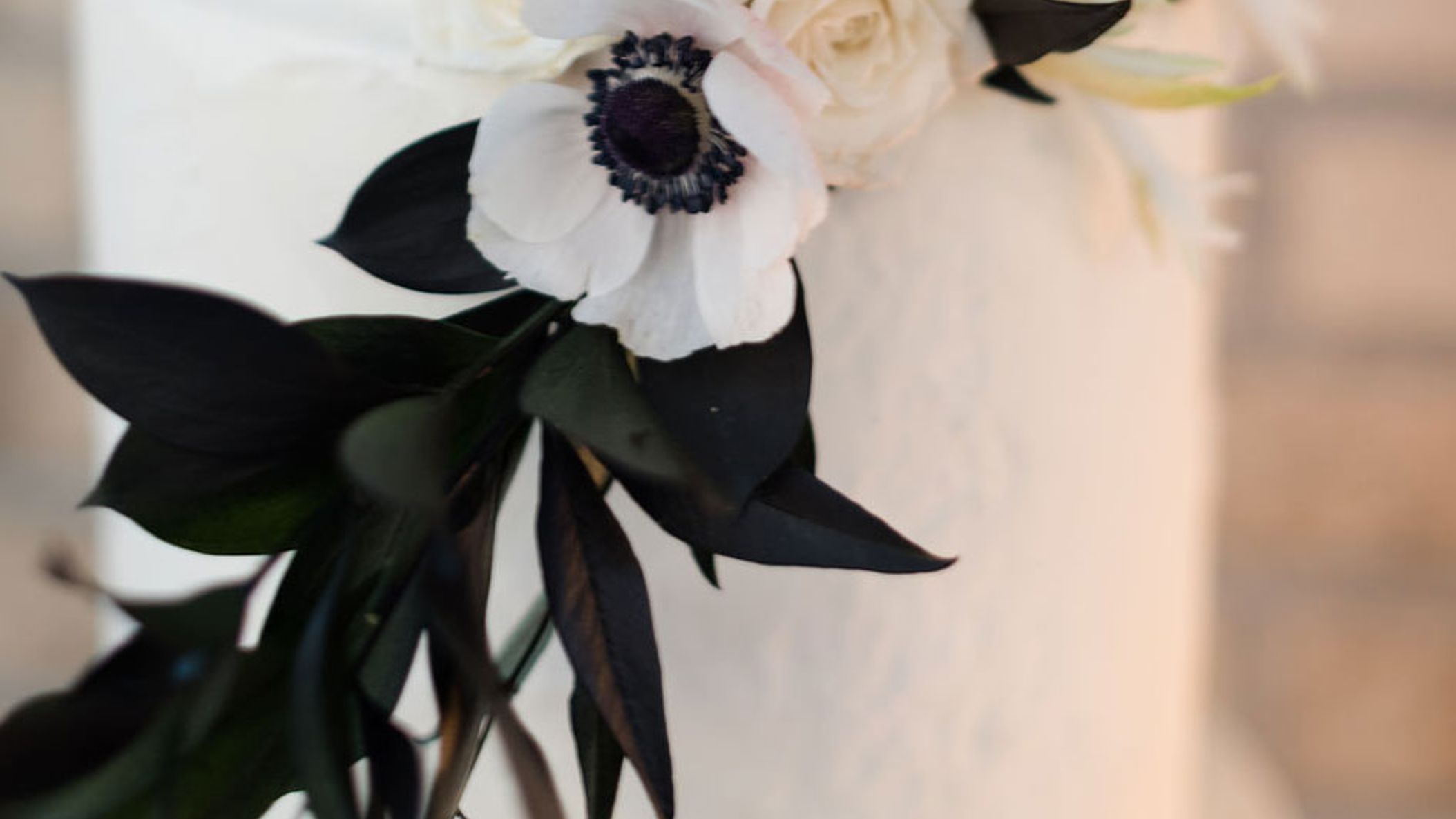 Wisconsin_Bride/as23595.jpg