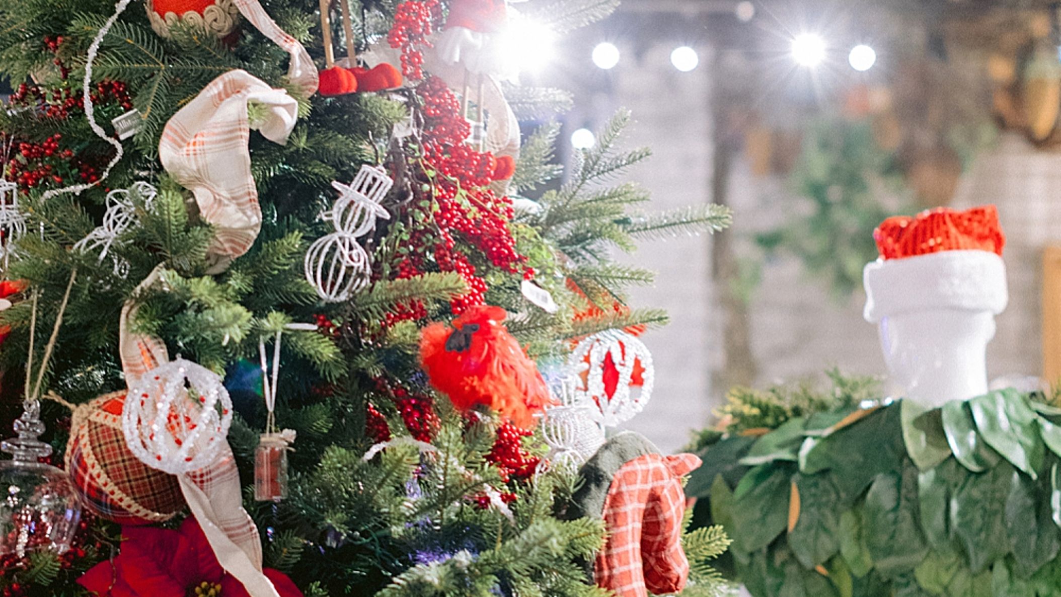 CWD/online/other/bloominintowinter/2019-12-19_0013.jpg