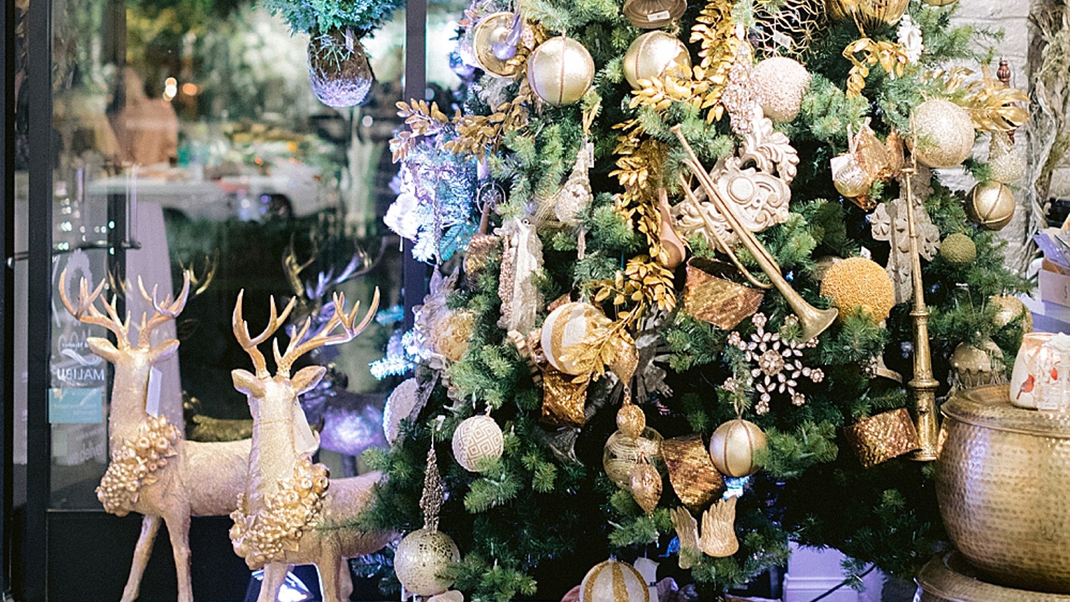 CWD/online/other/bloominintowinter/2019-12-19_0014.jpg