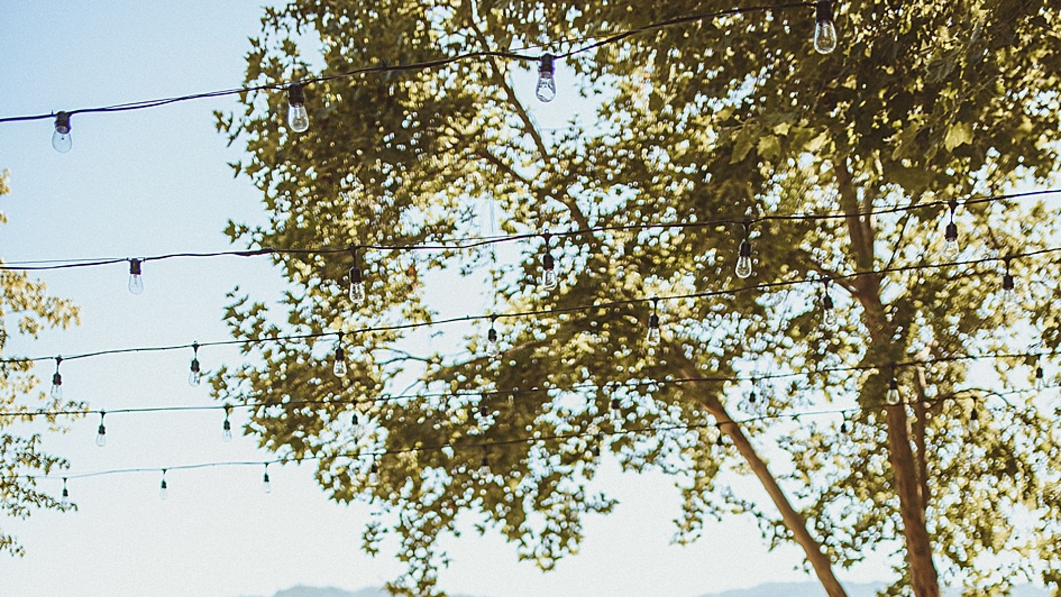 CWD/online/realweddings/carolyn_philip/2020-01-02_0025.jpg