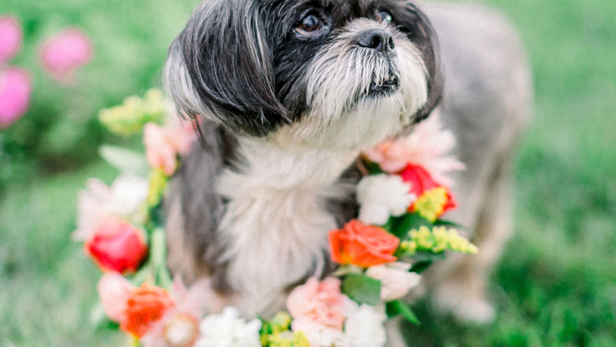 Oregon_Bride/Tropical-Fine-Art-Styled-Bridal-Shower-Tropical-Fine-Art-Styled-Shoot-0128.jpg