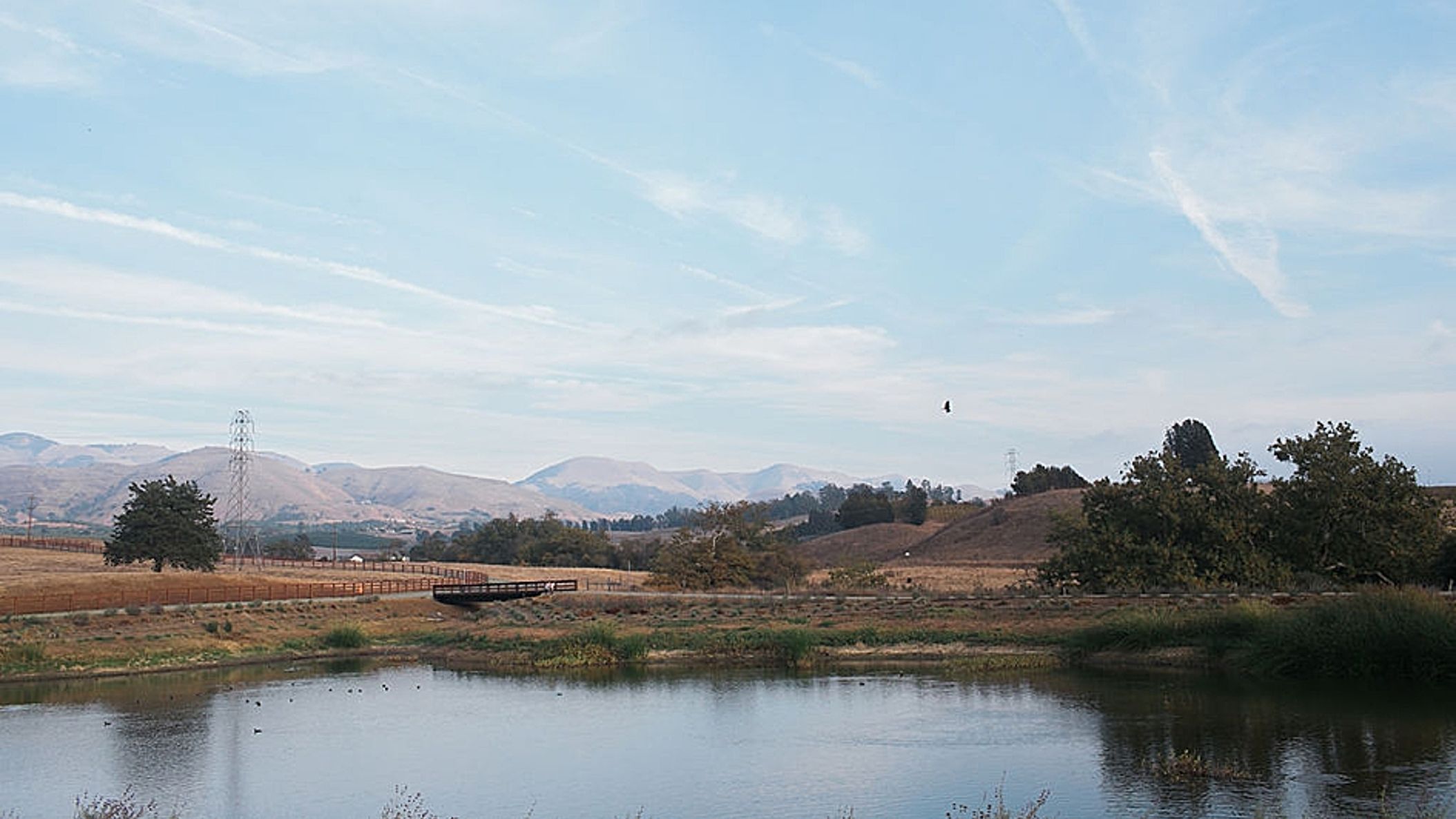 CWD/online/venues/sanluisobispo/2020-01-23_0004.jpg