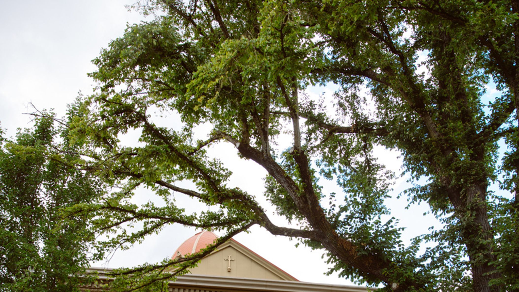 Oregon_Bride/RealWeddinga/Madden/Madden_Scotch_Jessica Hill Photography _Madden-Scotch-Wedding-377_big.jpg