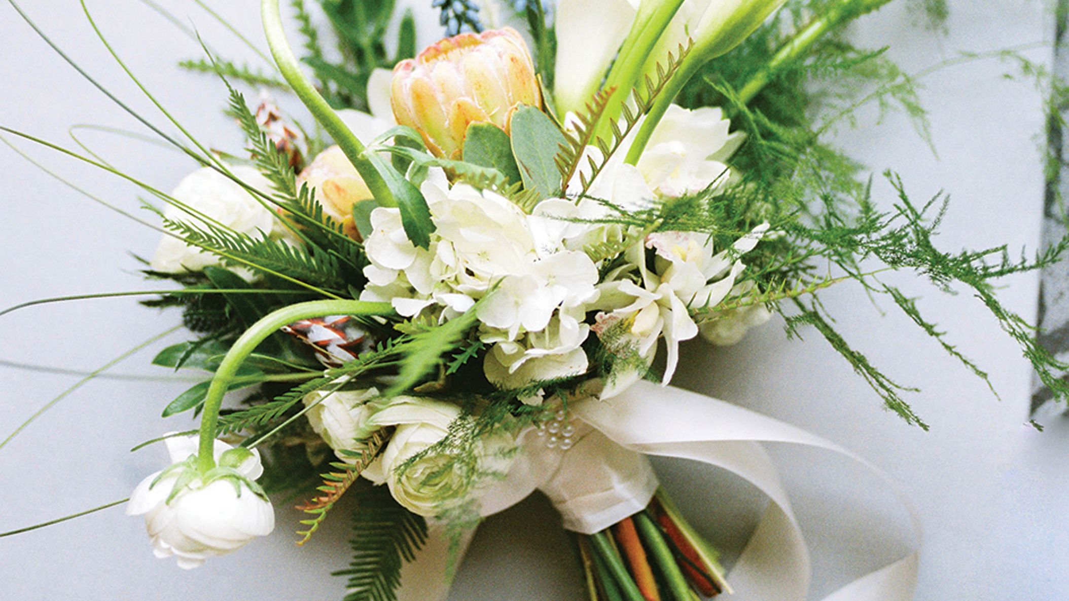 Oregon_Bride/SS20/Unveiled/9.jpg