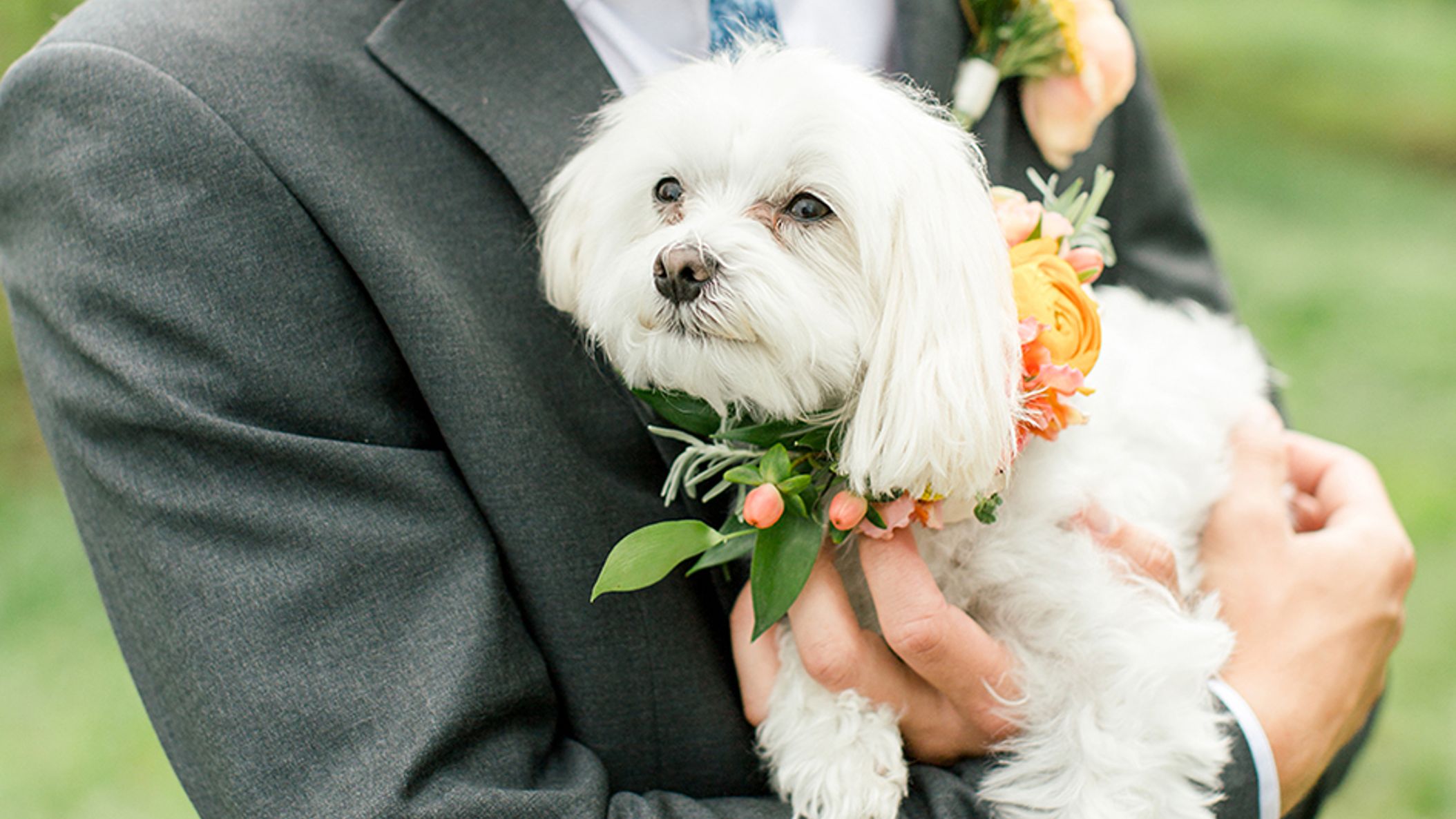 Wisconsin_Bride/Isabella_Adam_RW/4.jpg
