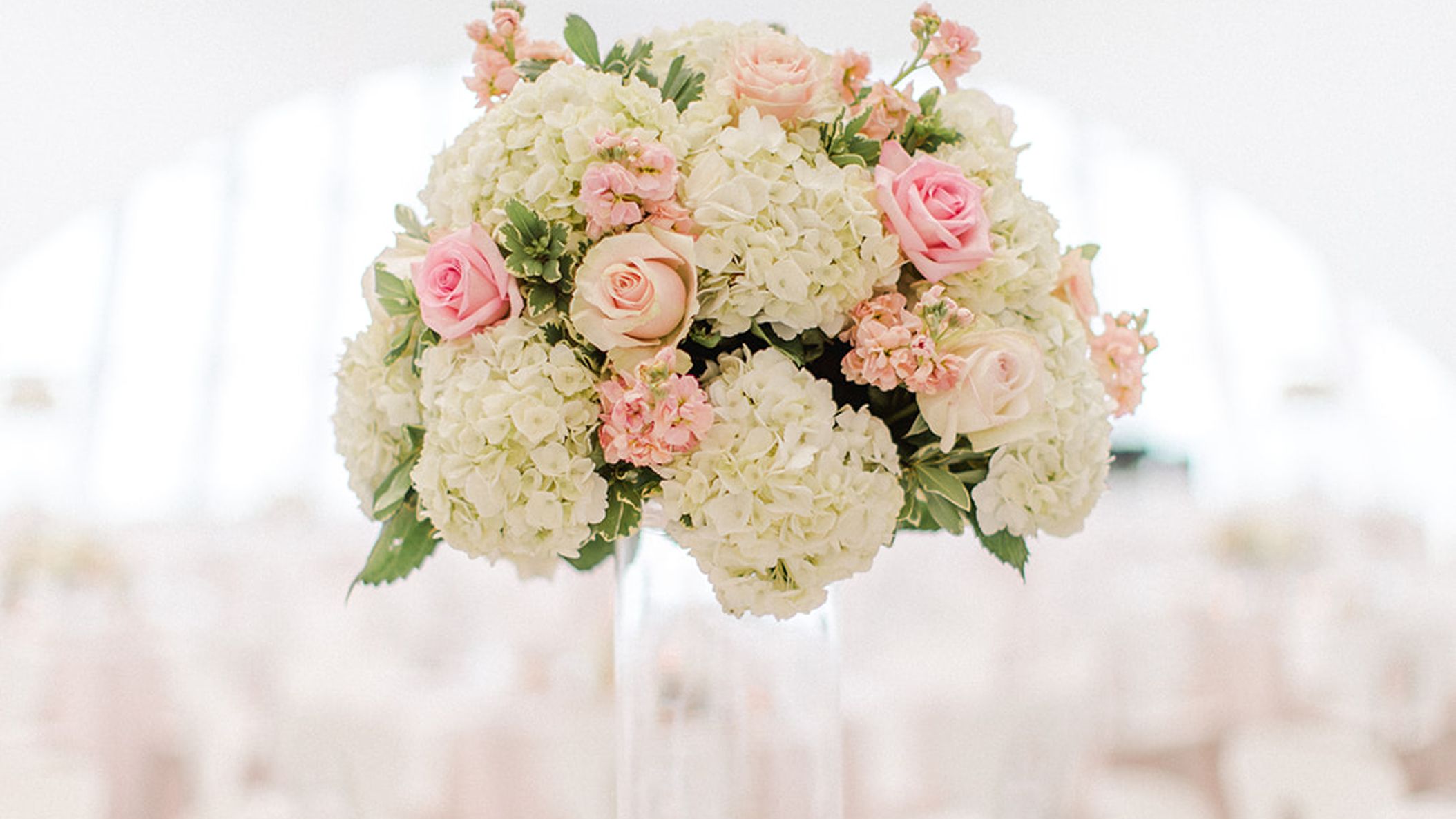 Wisconsin_Bride/Tayelor_Casey_RW/tc-239.jpg
