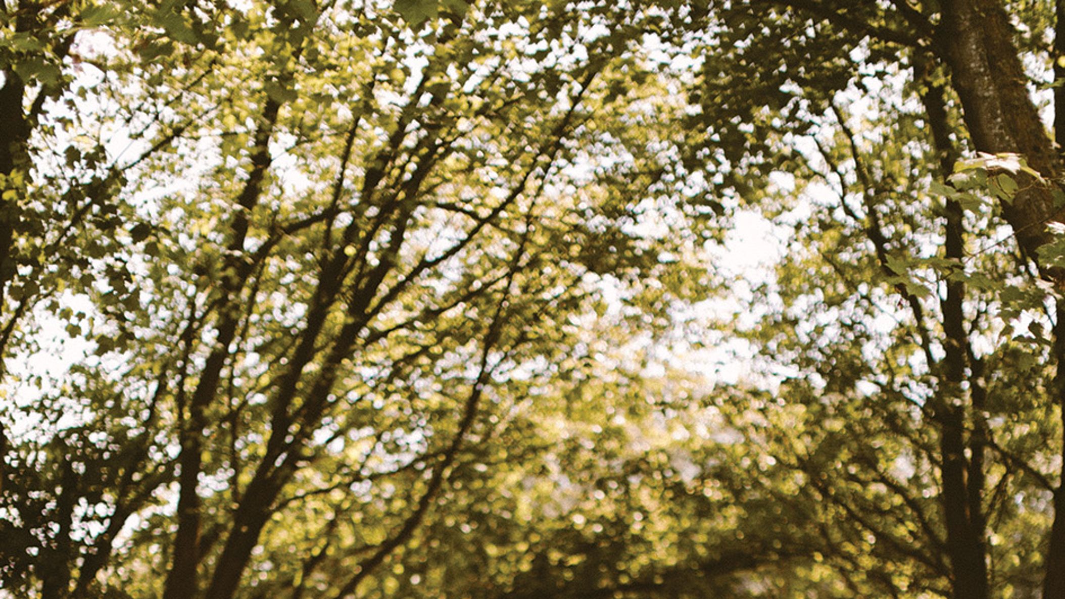 Seattle_Bride/SS2020/Real_Weddings/Kelsey_Caleb/KelseyCaleb2.jpg