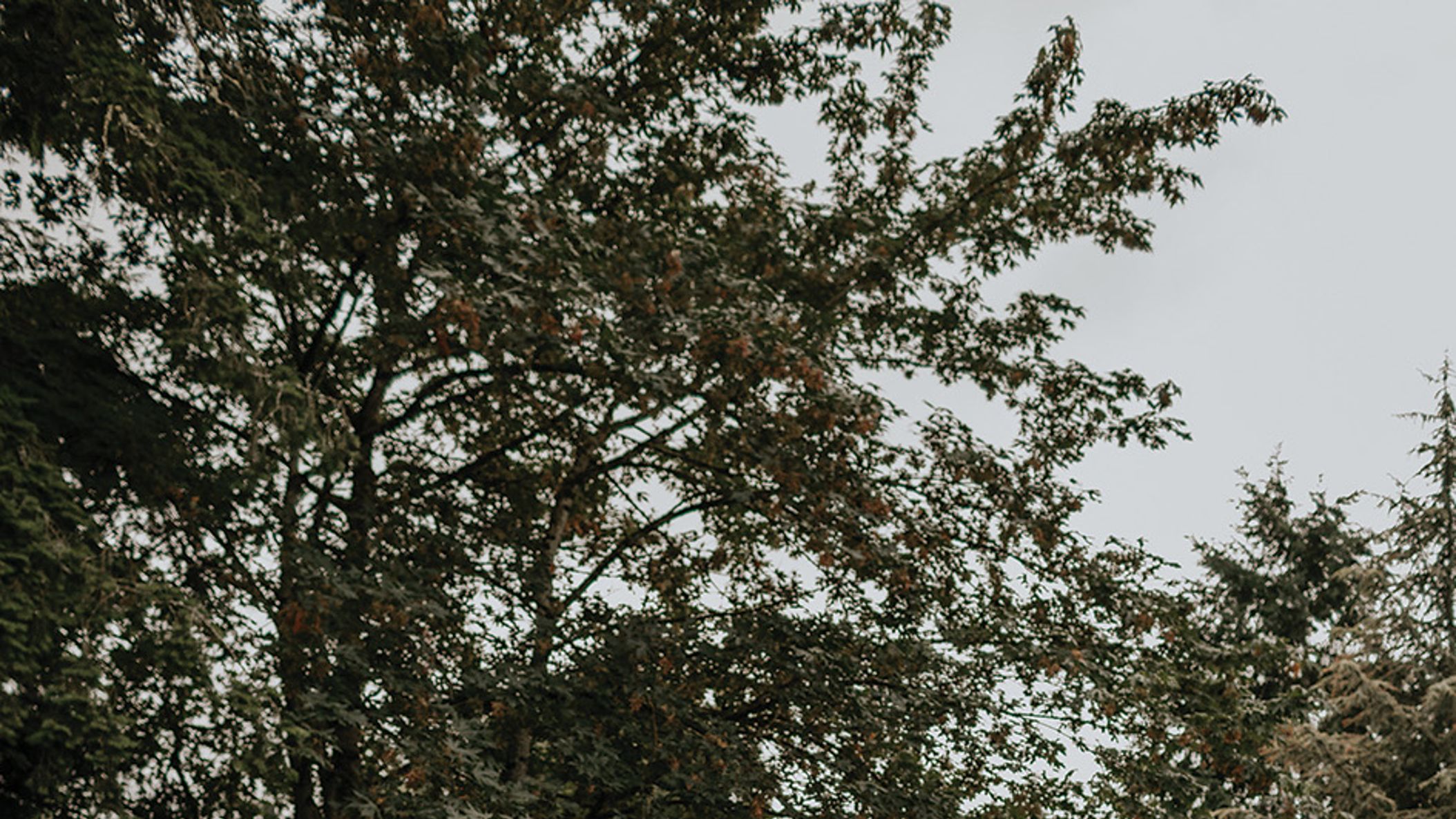 Seattle_Bride/SS2020/Real_Weddings/Cynthia_Benjamin/CynthiaBenjamin1.jpg