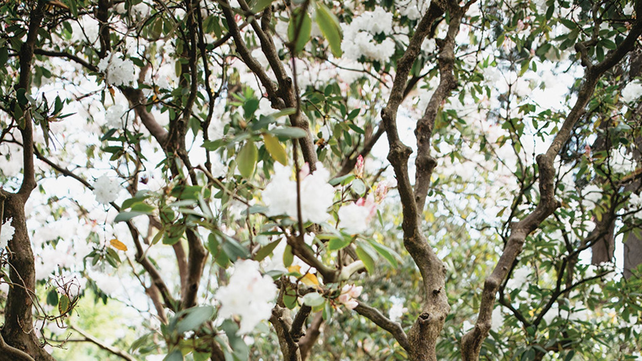 Oregon_Bride/SS20/RealWeddings/Liz_Mike/LizMike4.jpg