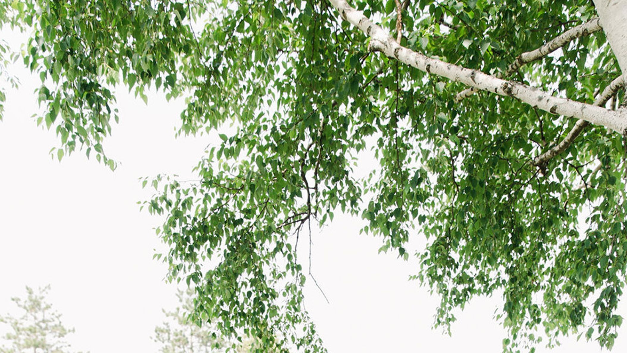 Minnesota_Bride/REAL_WEDDING/Emilie_Quinten/EmilieQuinten6.jpg