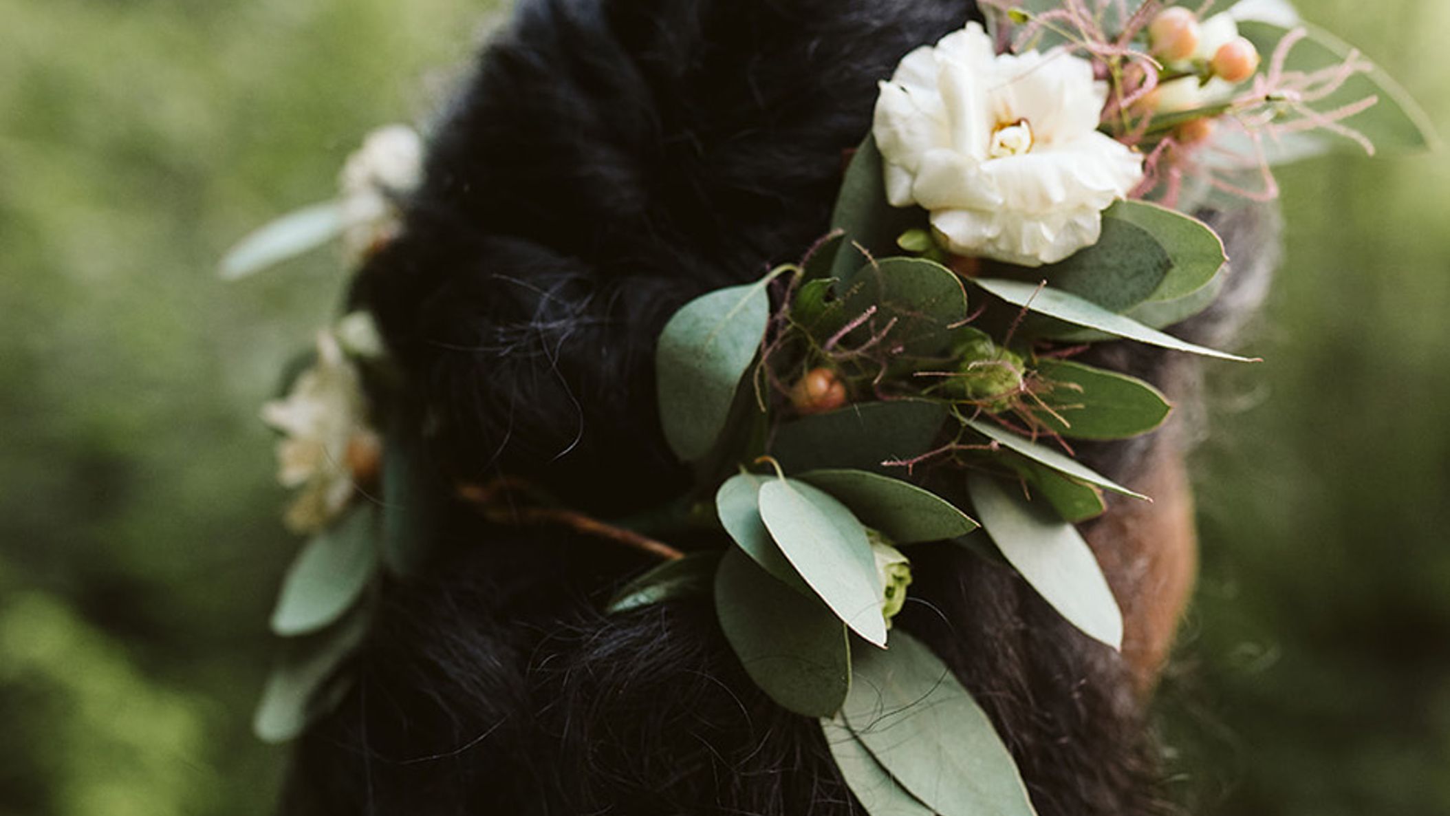 Oregon_Bride/WebStories/TrilliumLakeElopement/TrilliumLake2.jpg