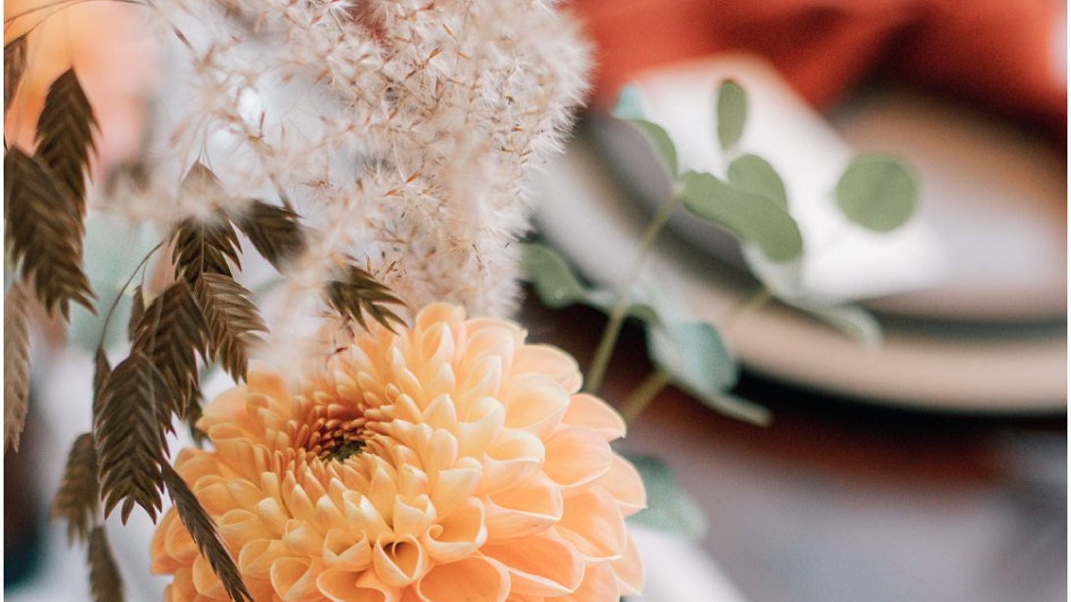 Wisconsin_Bride/Styled_Shoots/autumnal_shoot/2020-11-05_0019.jpg
