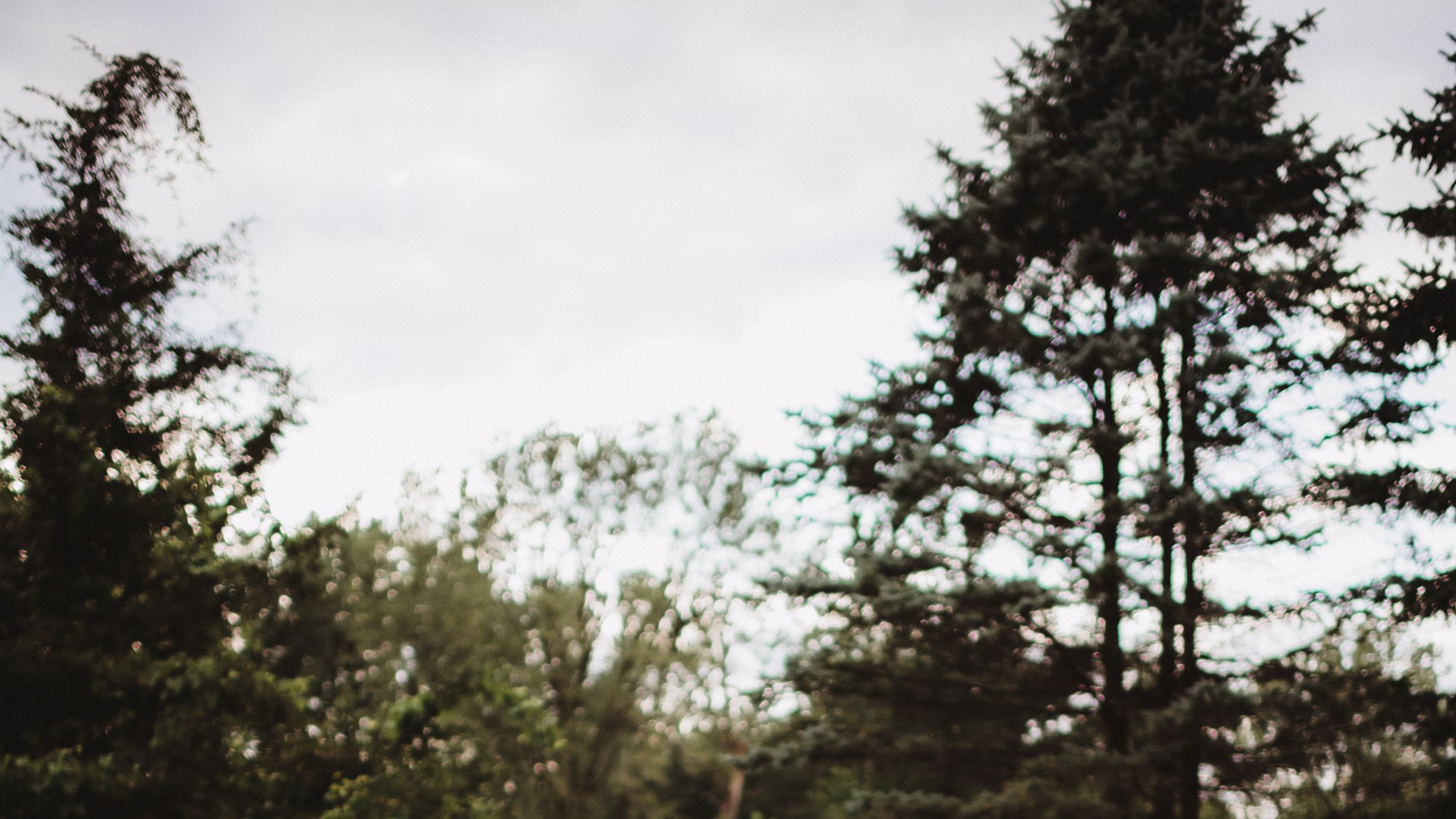 Wisconsin_Bride/BlackFriday/TO9_1883-Edit.jpg
