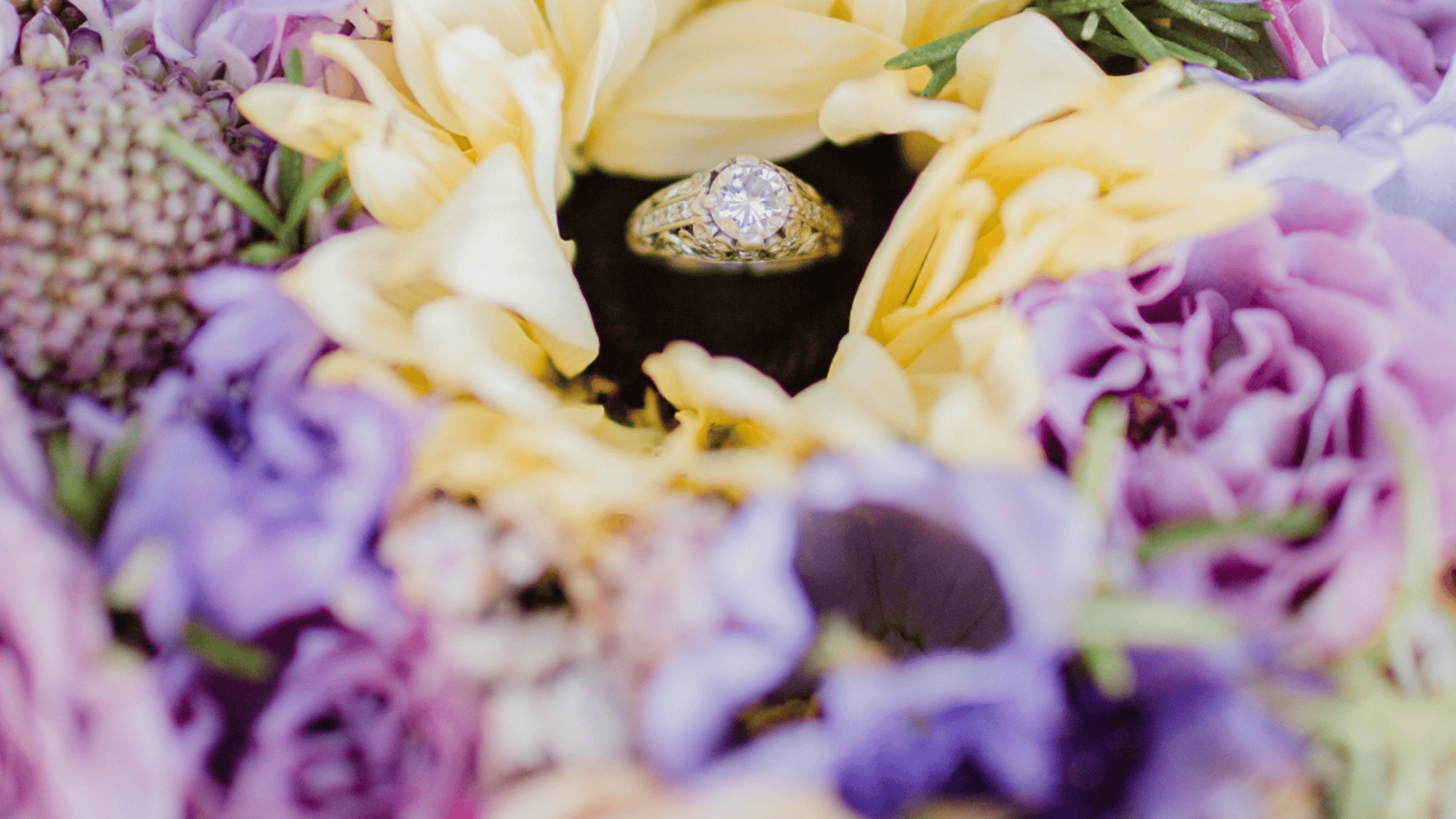 Seattle_Bride/BlackFriday/Proposal box lavender (1).png