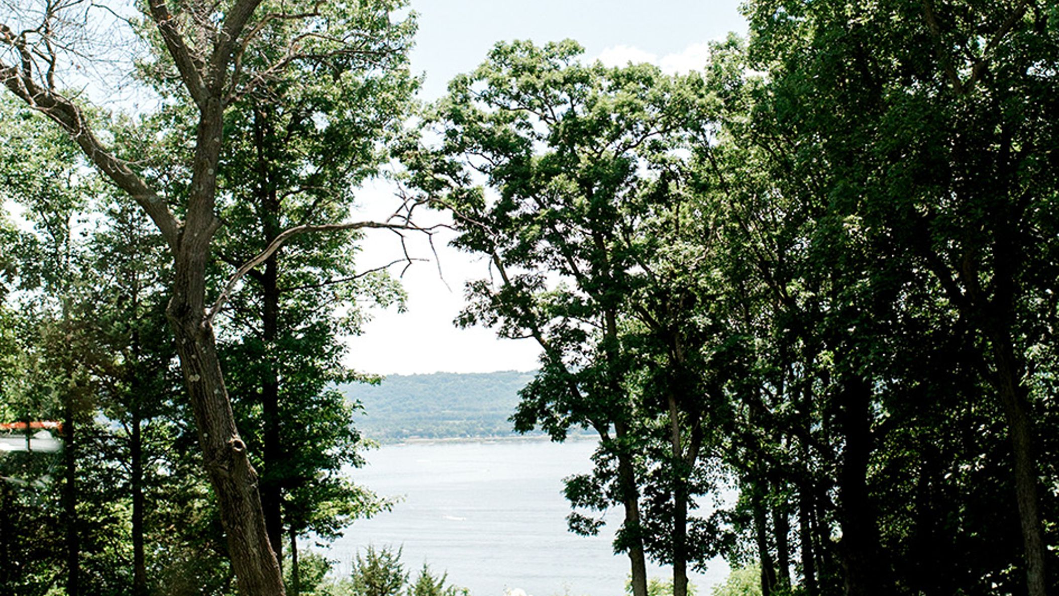 DSC_6489.jpg