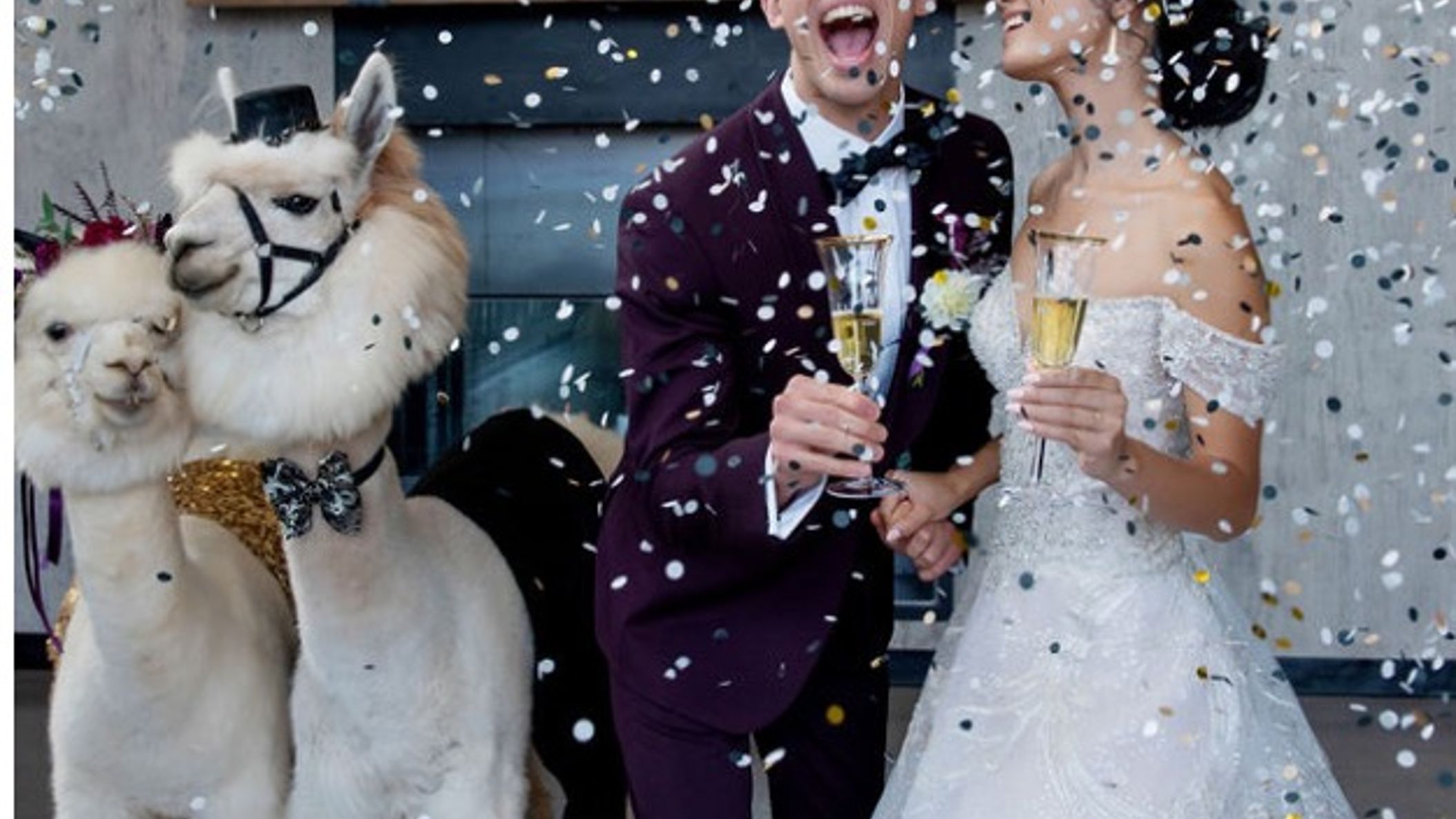 Oregon_Bride/StyledShoots/NewYearsEve/Screen Shot 2020-12-29 at 11.54.45 AM.jpeg