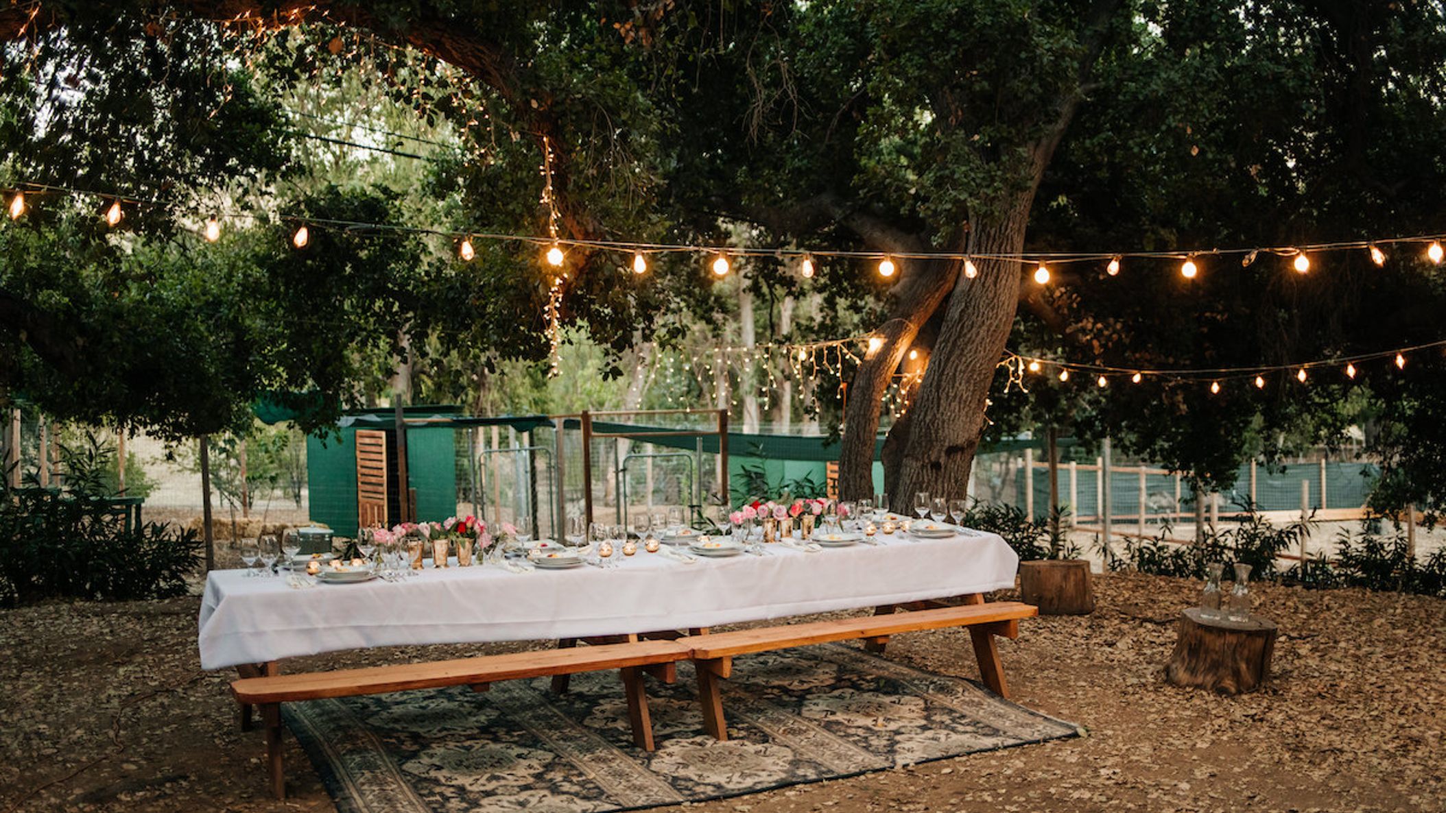 CWD/2021/Kindred_Spirits/Kindred Spirits Care Farm _ By Erin Marton-197.jpg