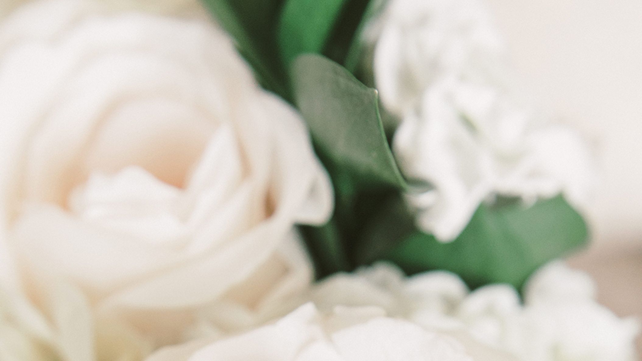 Nebraska_Bride/Checklist/5-1.jpg