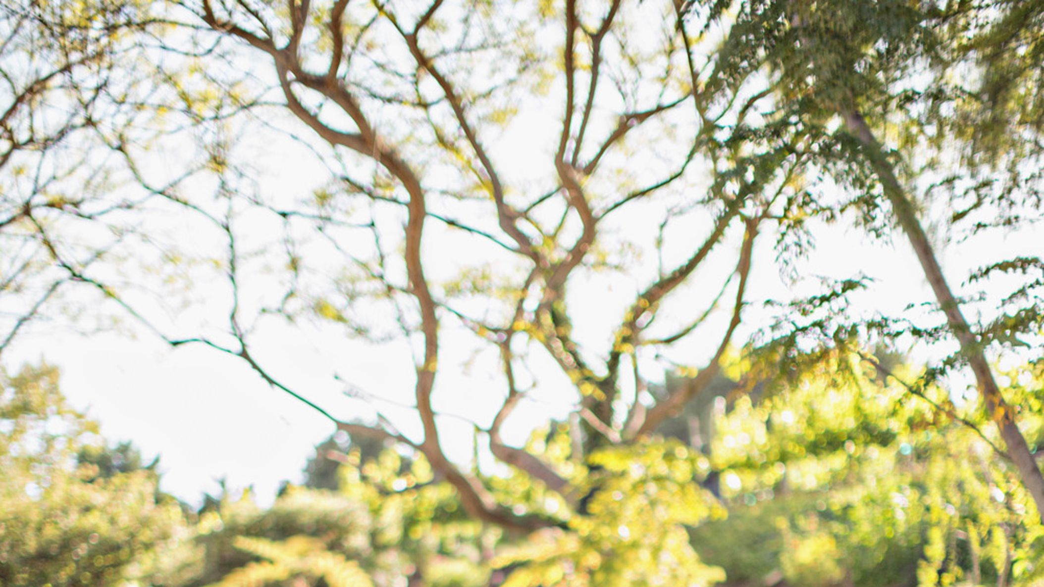 CWD/outdoor_weddings/056SOPHIE_BRANDON_WEDDING.jpg