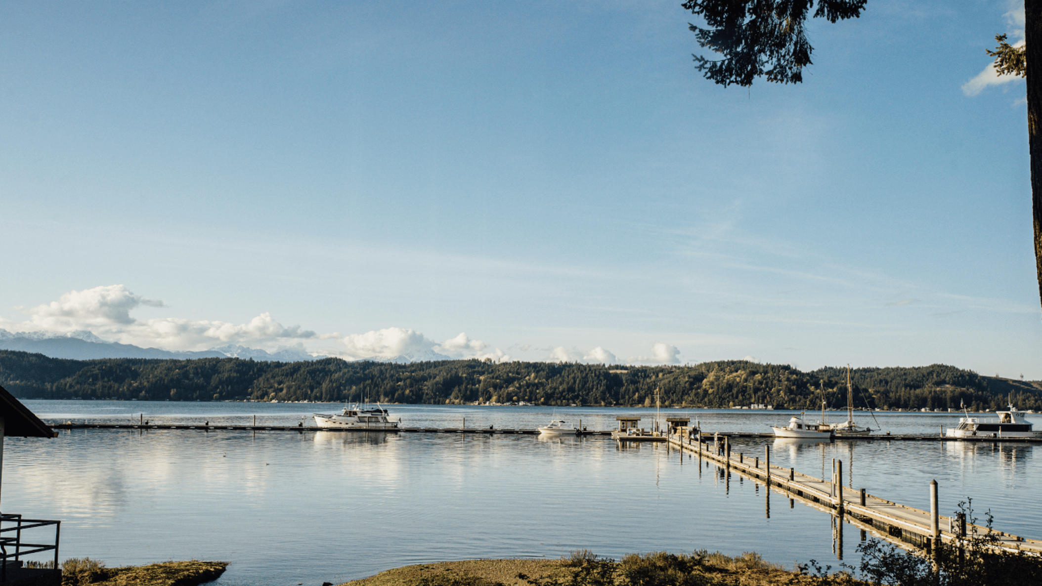 Seattle_Bride/thumbnail_image004.png