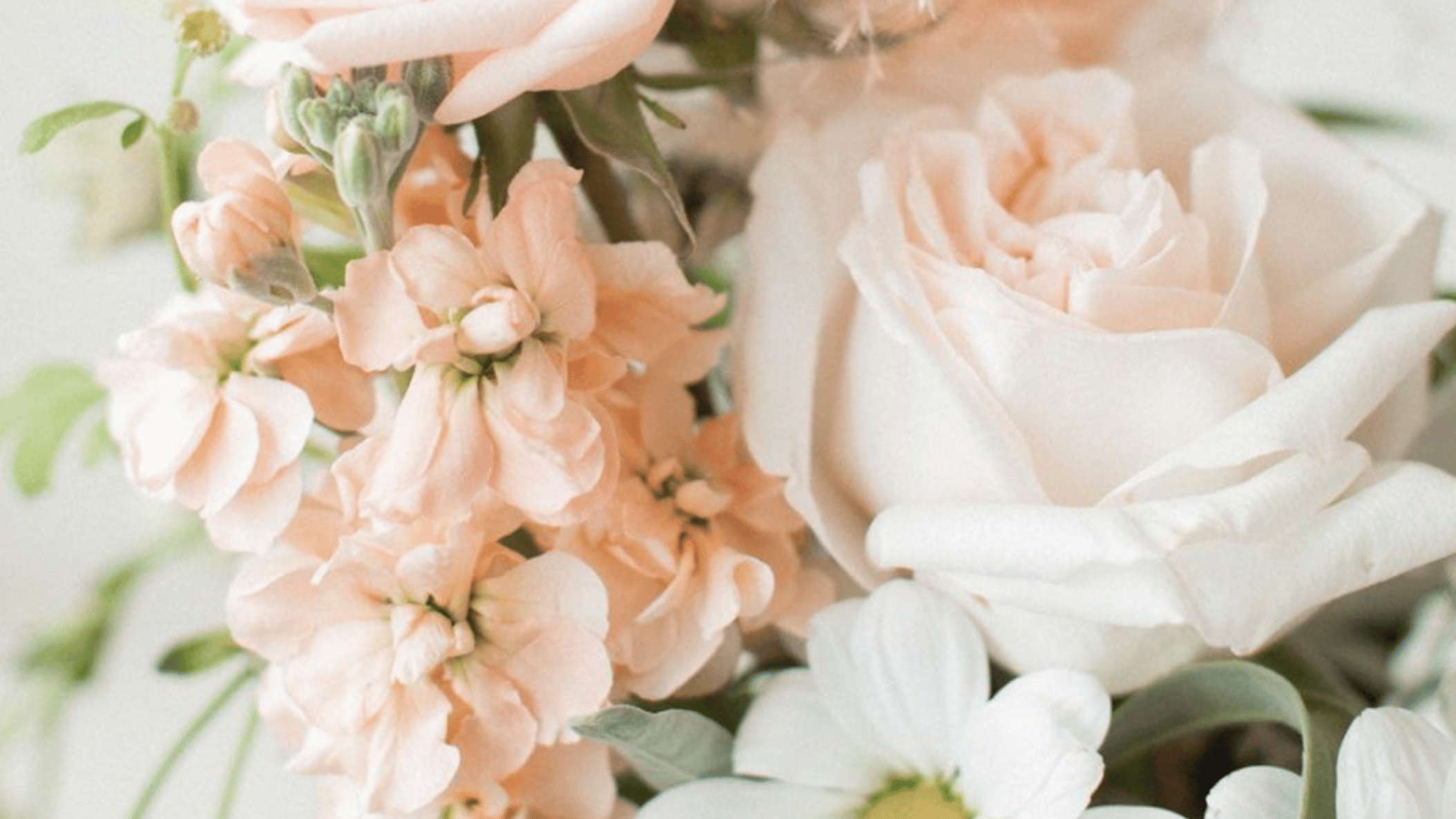 Nebraska_Bride/mothersday21/rose-joy.png