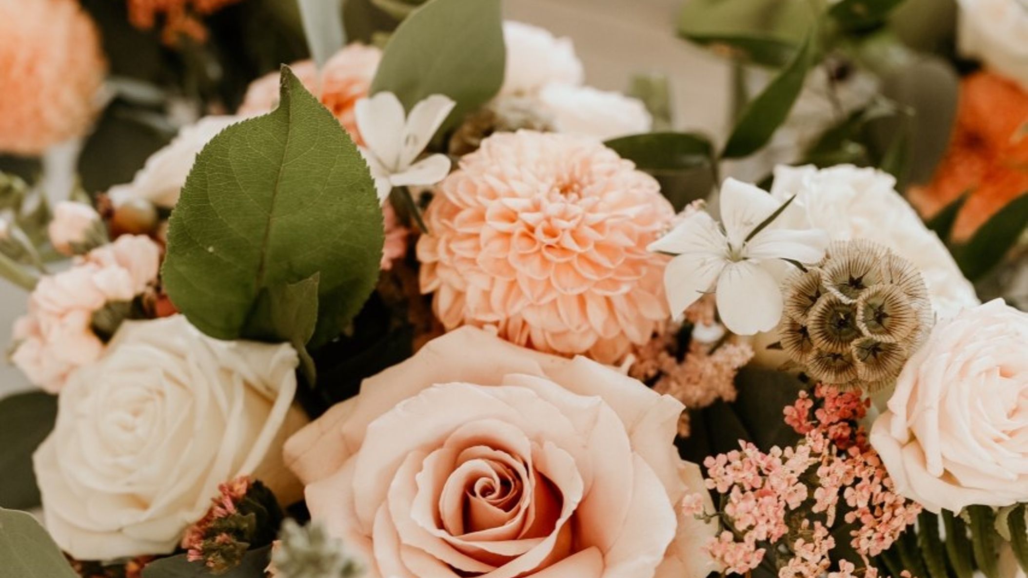 Minnesota_Bride/pressopp2/bloomdesigns1.jpeg