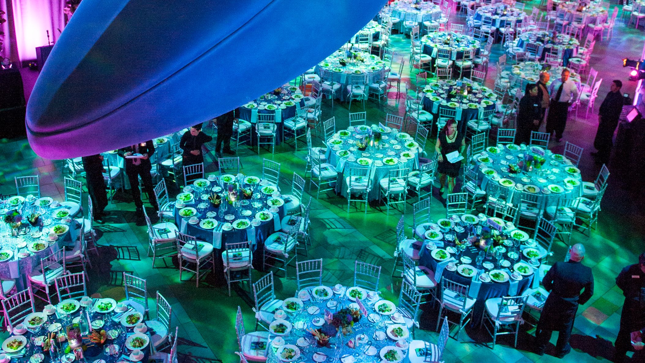 CWD/AOP/Aquarium Gala 2013_092.jpg