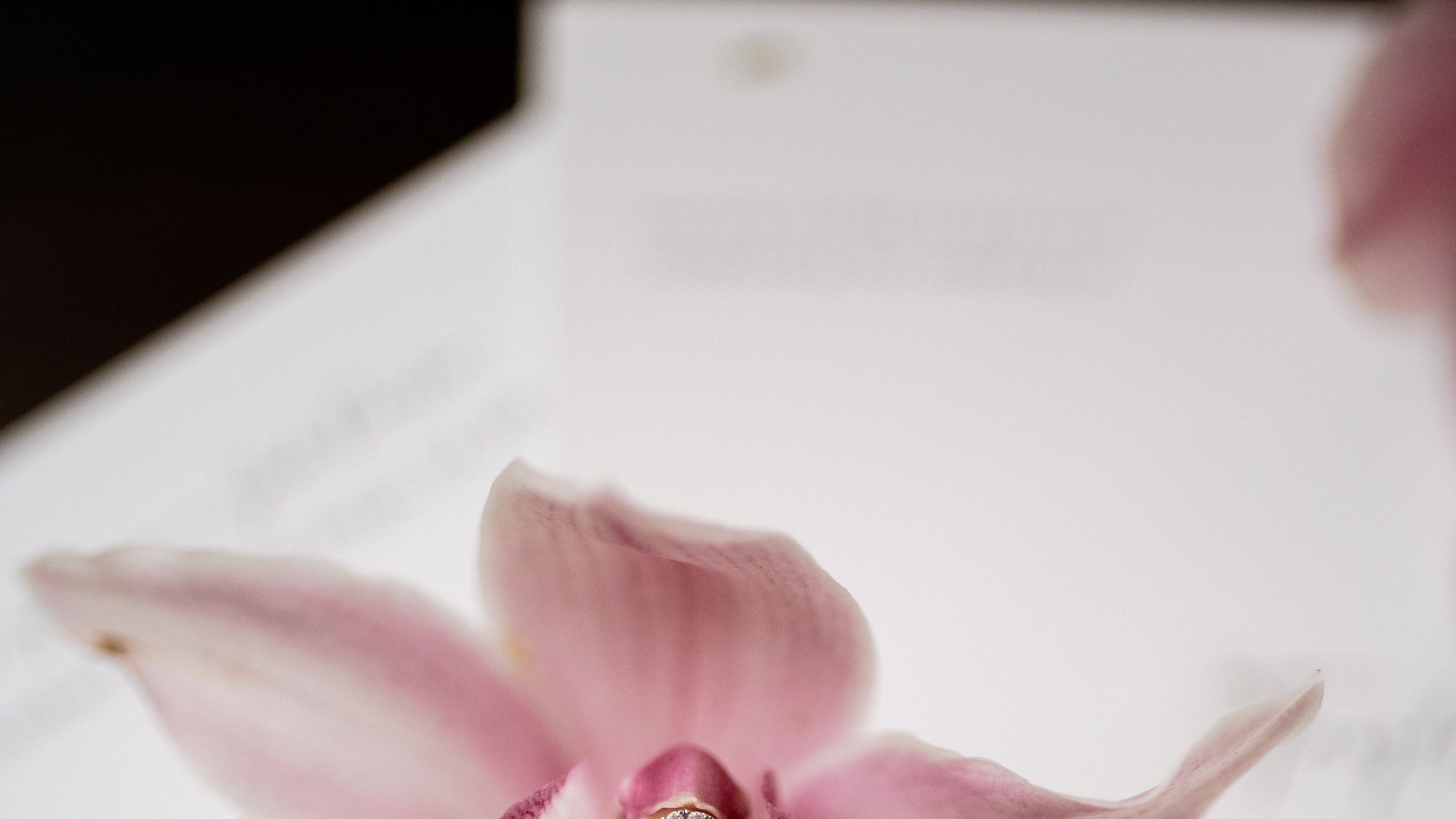 Minnesota_Bride/Pink_Skyroom/DSC_0431.jpg
