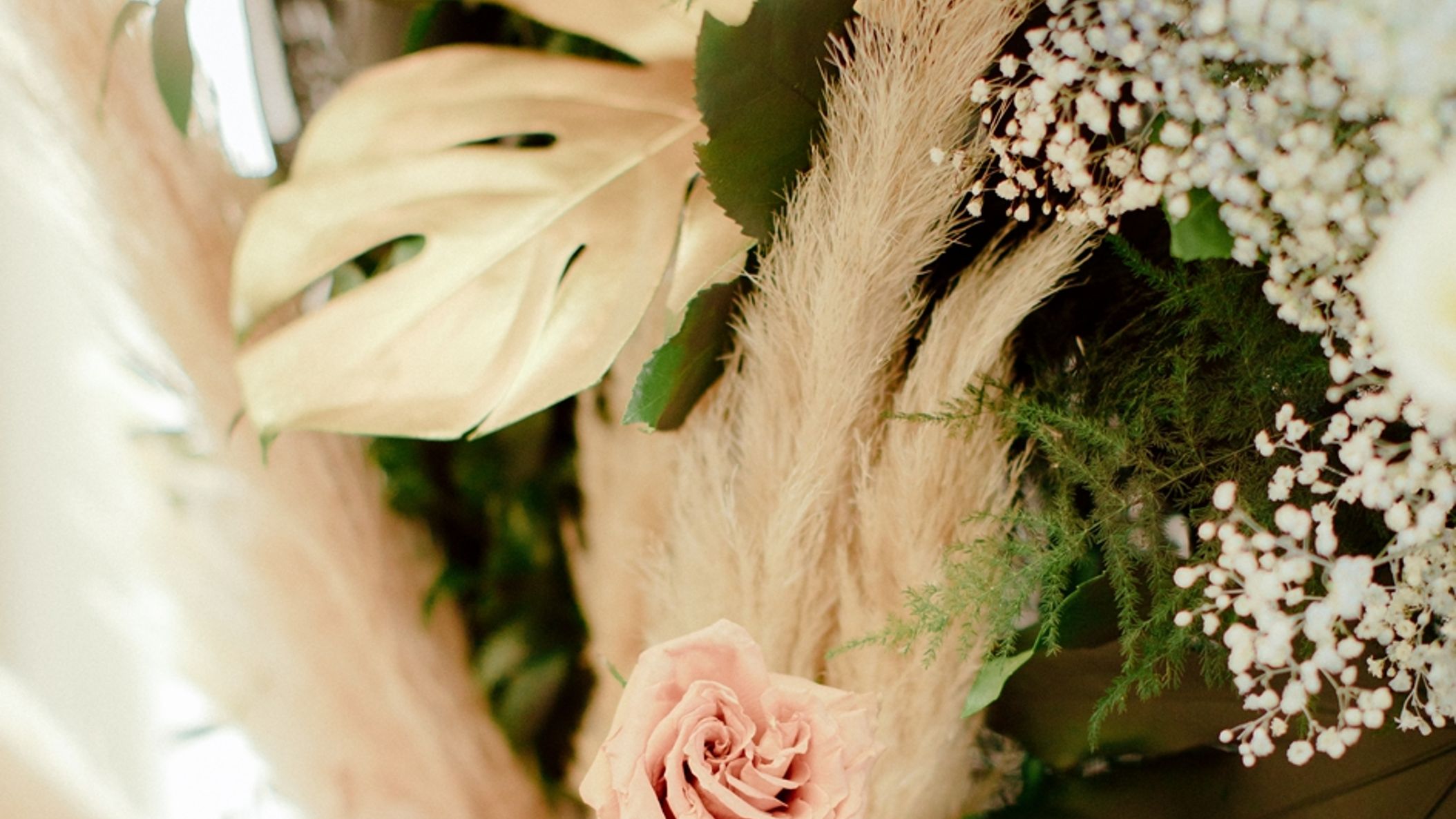 CWD/2021/Blossom_Beauties/Bloom_Show/2021-06-24_0008.jpg