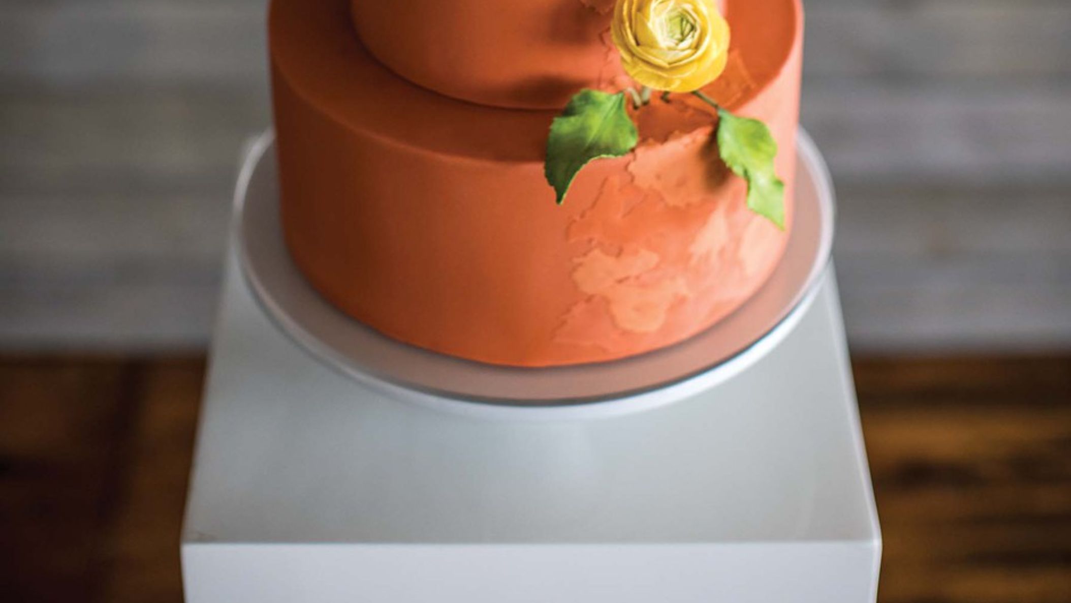 Minnesota_Bride/2021/cakes/2021-08-11_0004.jpg