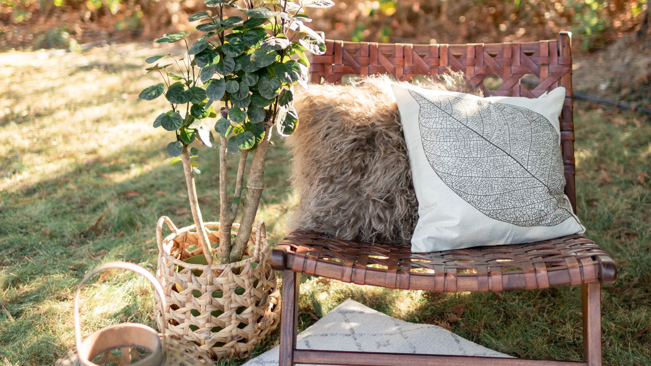 CWD/cozy_coyne/larissa-cleveland-photo-emilycoyne-089.jpg