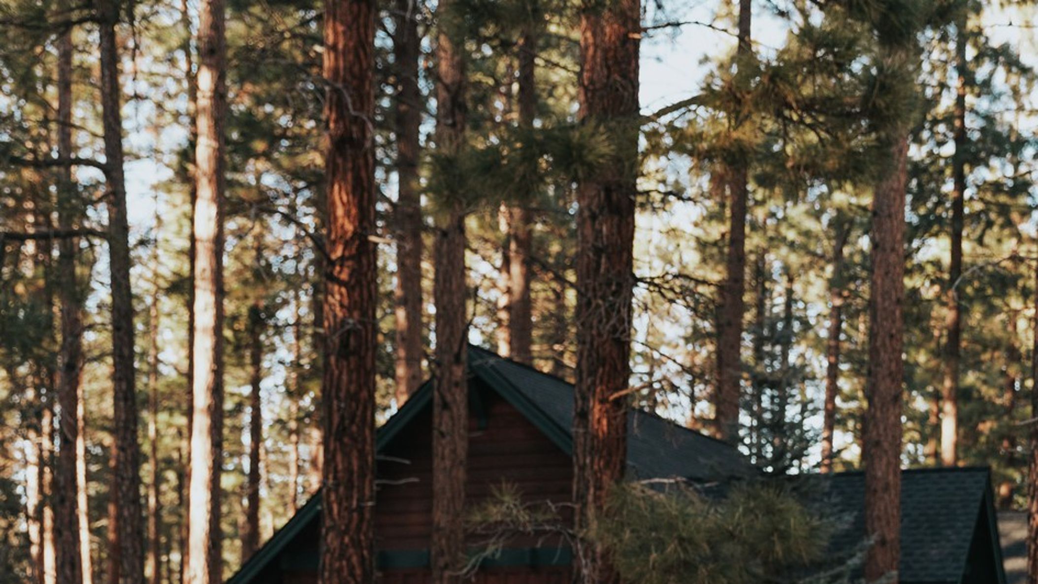 Oregon_Bride/2021/style/2021-08-19_0076.jpg