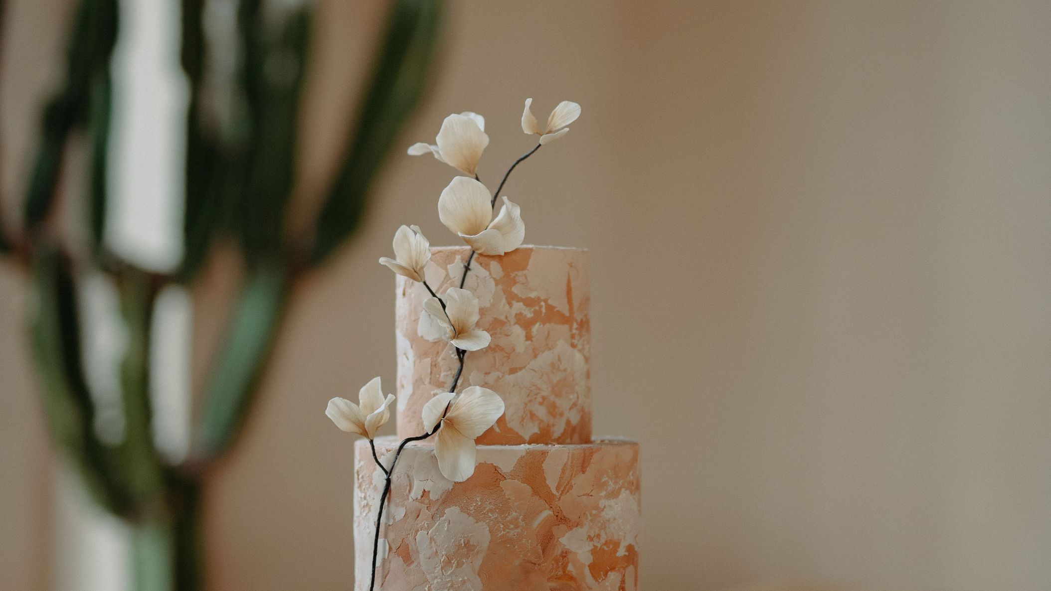 Minnesota_Bride/2021/Ink_Sweets/ink-sweets-cake.JPG