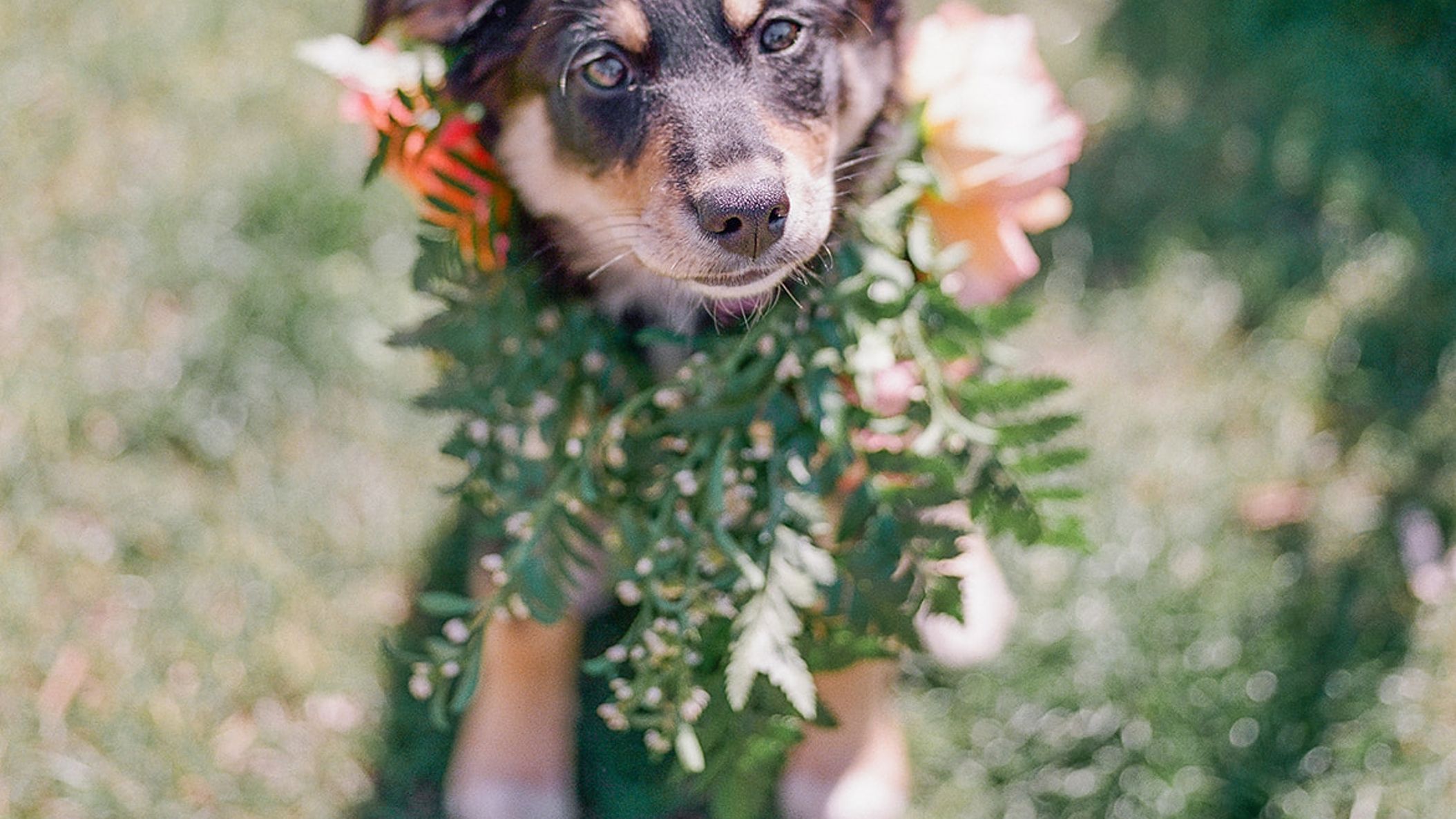 Seattle_Bride/backyardbeauty/Pacific Engagements Seattle Backyard Wedding 49 (1).jpg