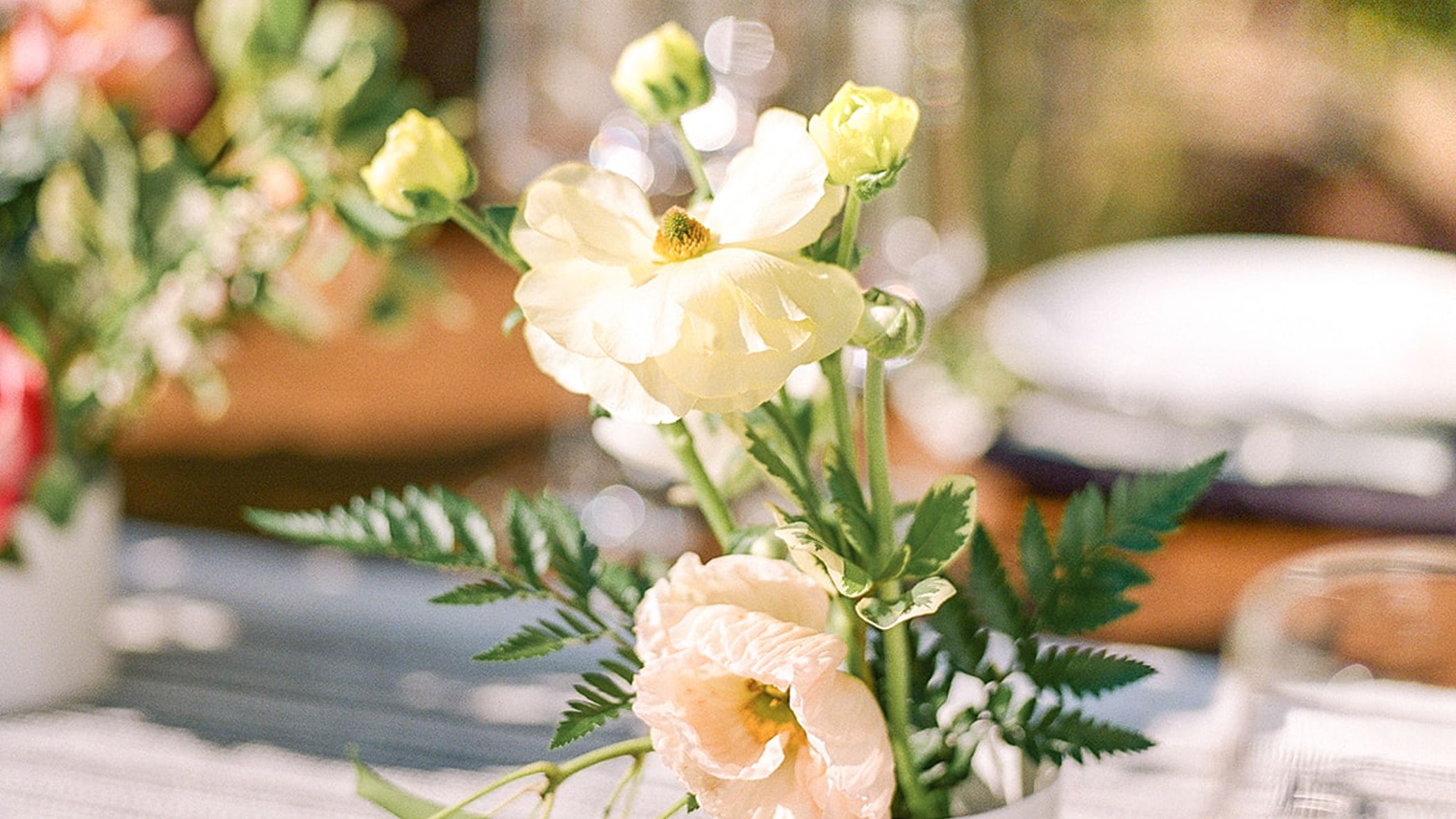 Seattle_Bride/backyardbeauty/Pacific Engagements Seattle Backyard Wedding 86.jpg