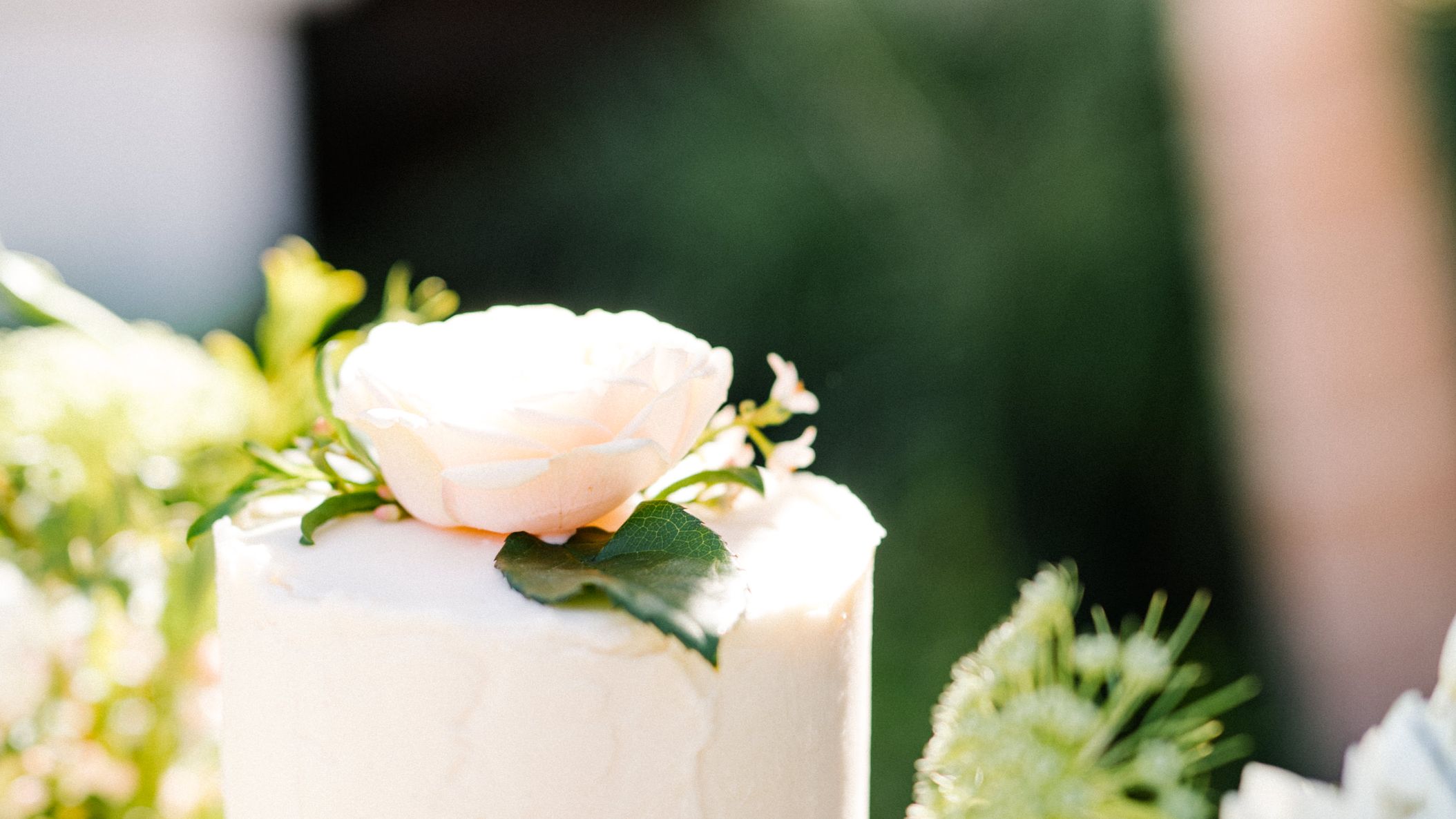 CWD/ravencolinrealwed/austyn-elizabeth-RCS222.jpg