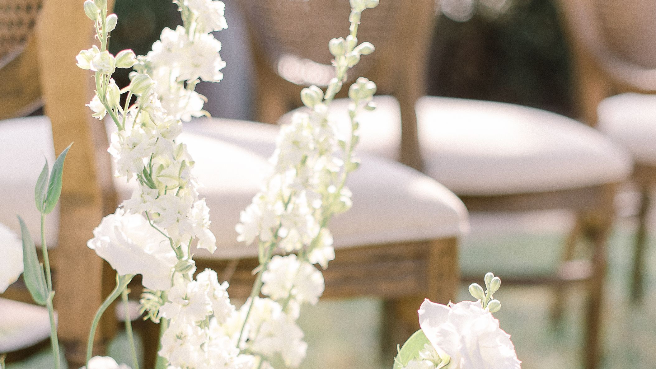 CWD/whitewhimsylangham/whitewhimsylapaloma/LaPalomaEditorial_-46.jpg