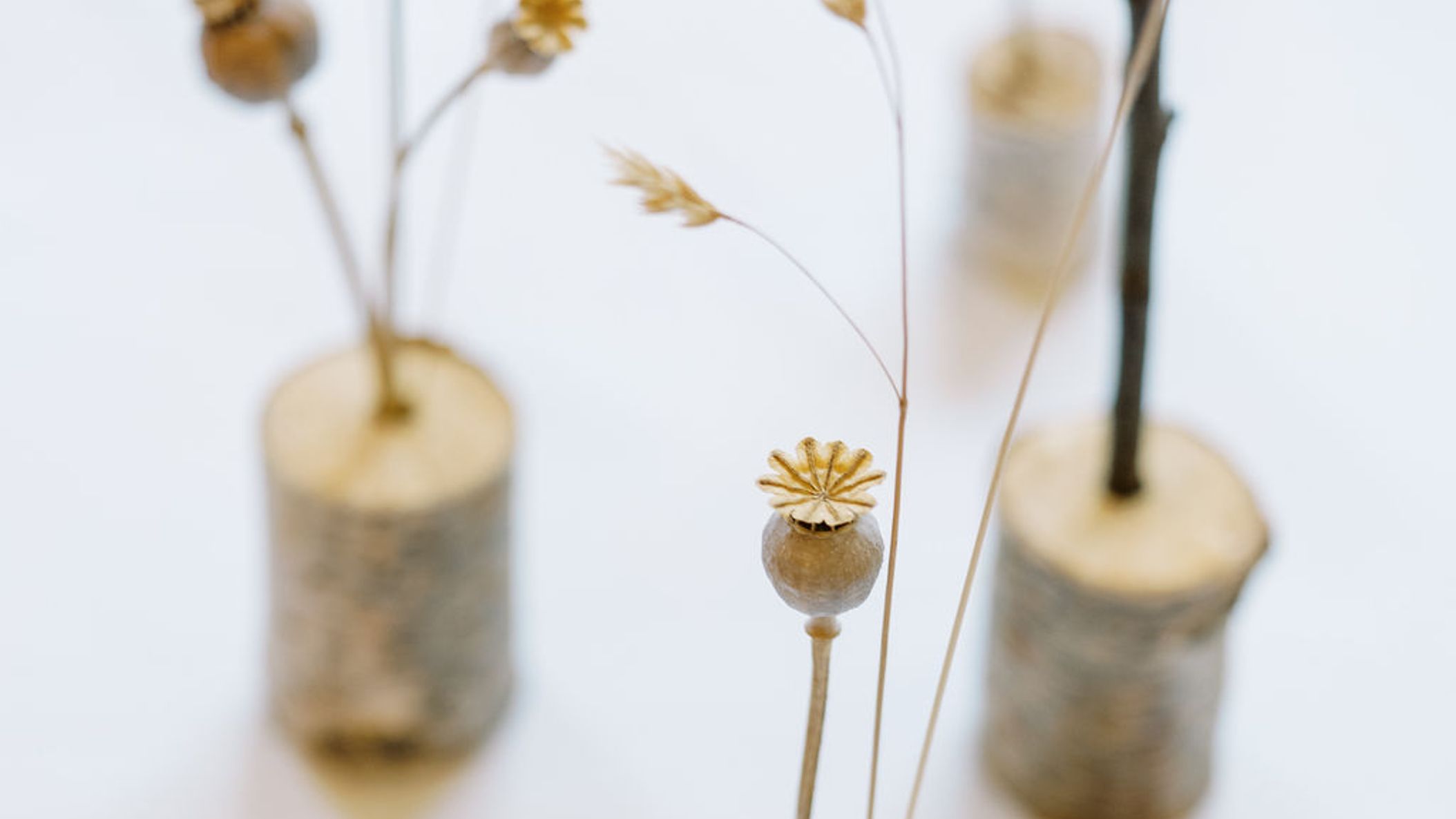 Seattle_Bride/SS2022/UrbanGarden/Urban-Garden-Wedding-Inspiration-009.jpg