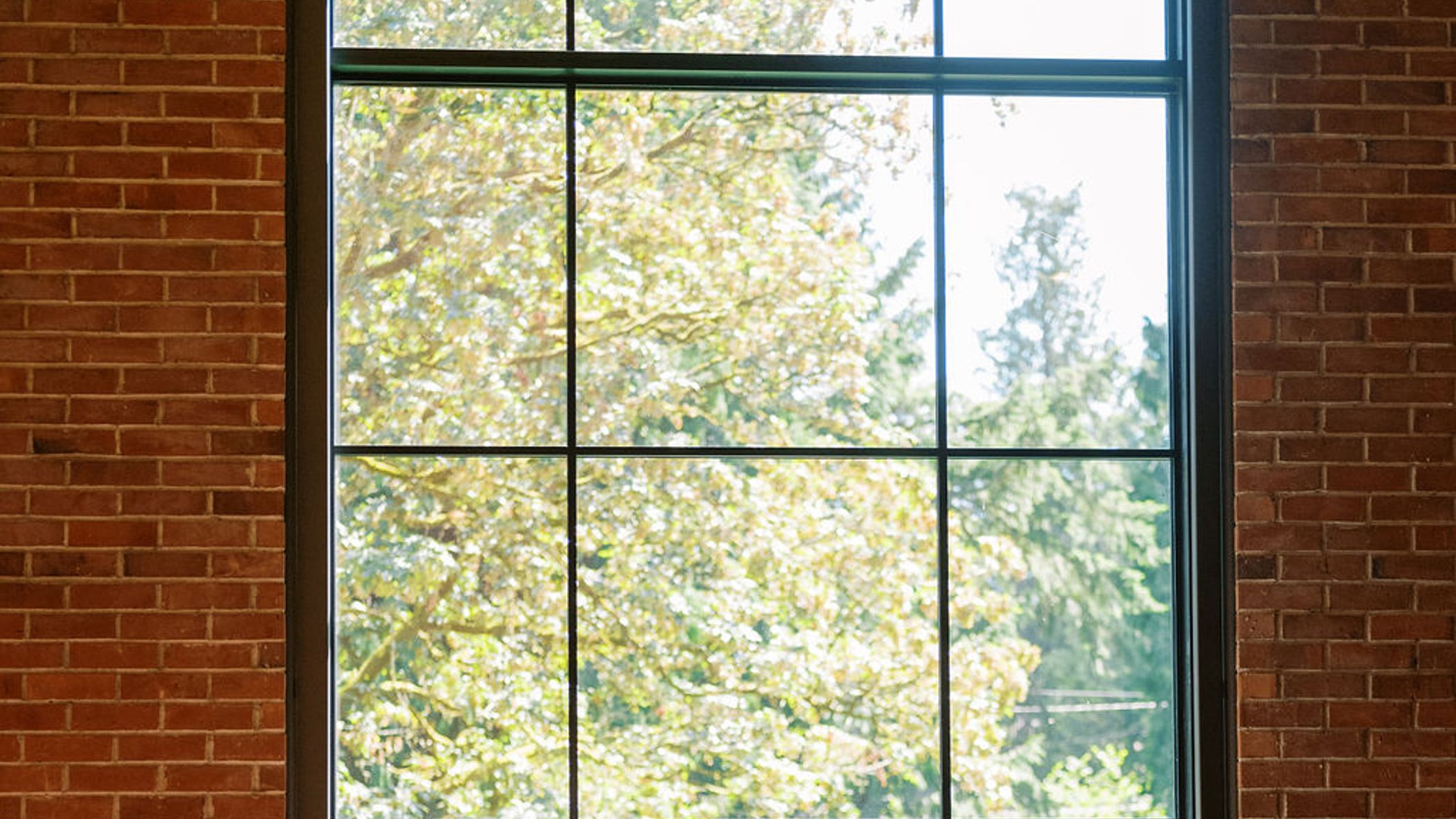 Seattle_Bride/SS2022/UrbanGarden/Urban-Garden-Wedding-Inspiration-216.jpg