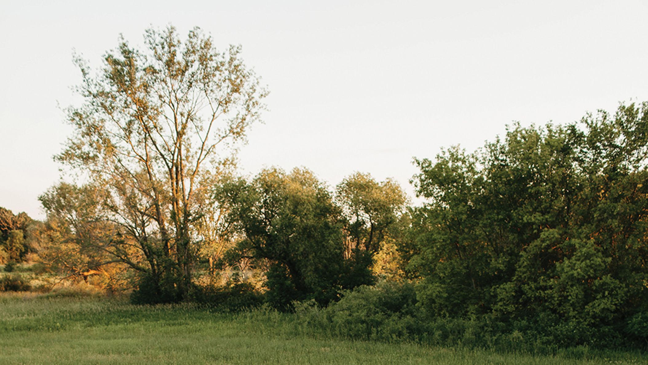 Minnesota_Bride/wedding20/jay e_MNB_22SS09.jpg