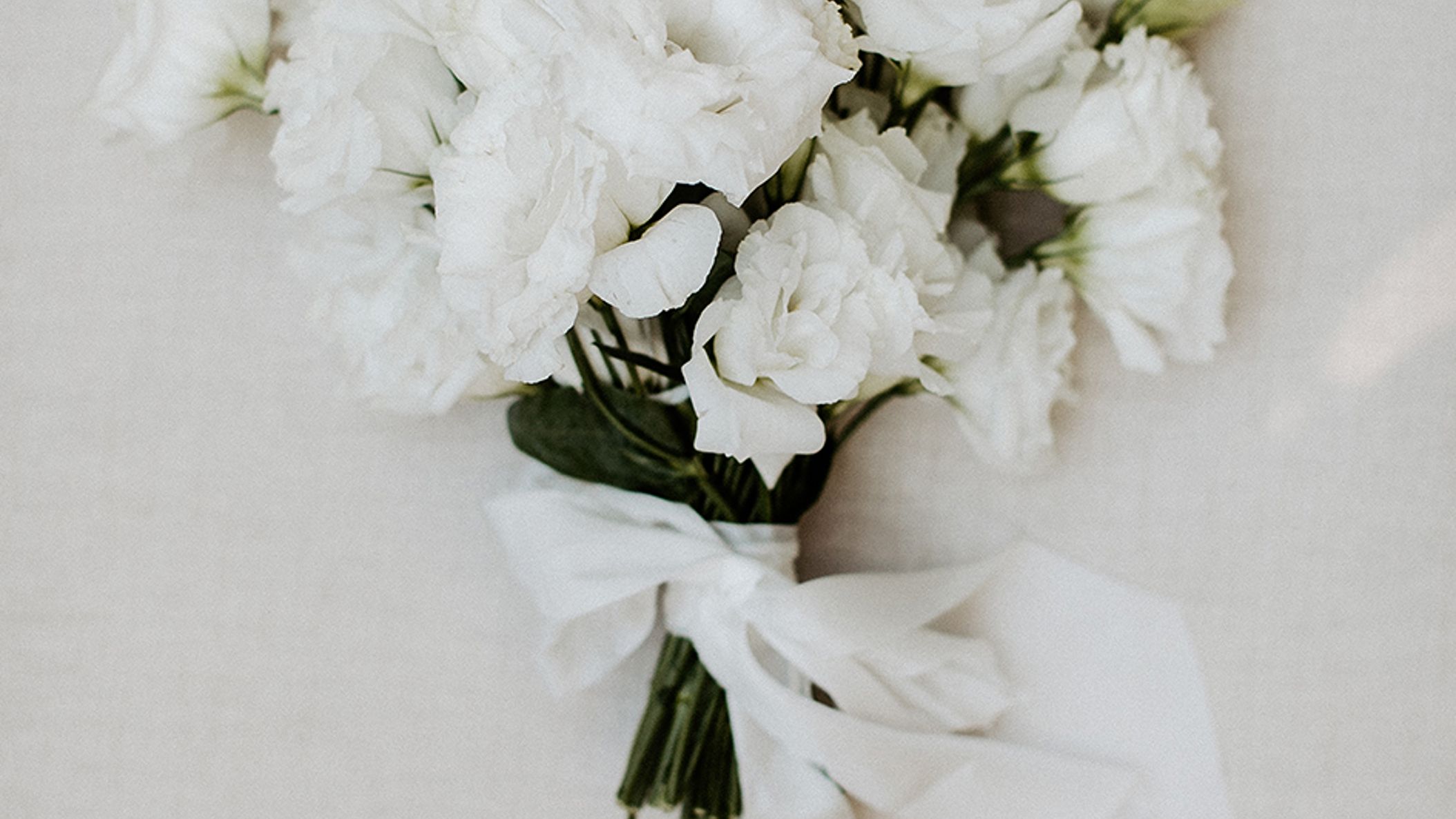 Seattle_Bride/takeabow/bows_CWD_fv2203.jpg