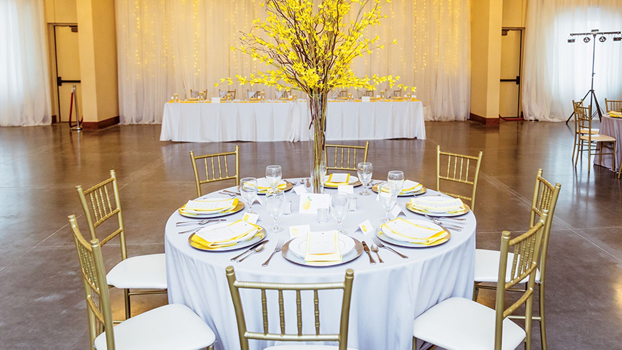 Nebraska_Bride/yellowshades/styled omaha_NWD_SS2204.jpg